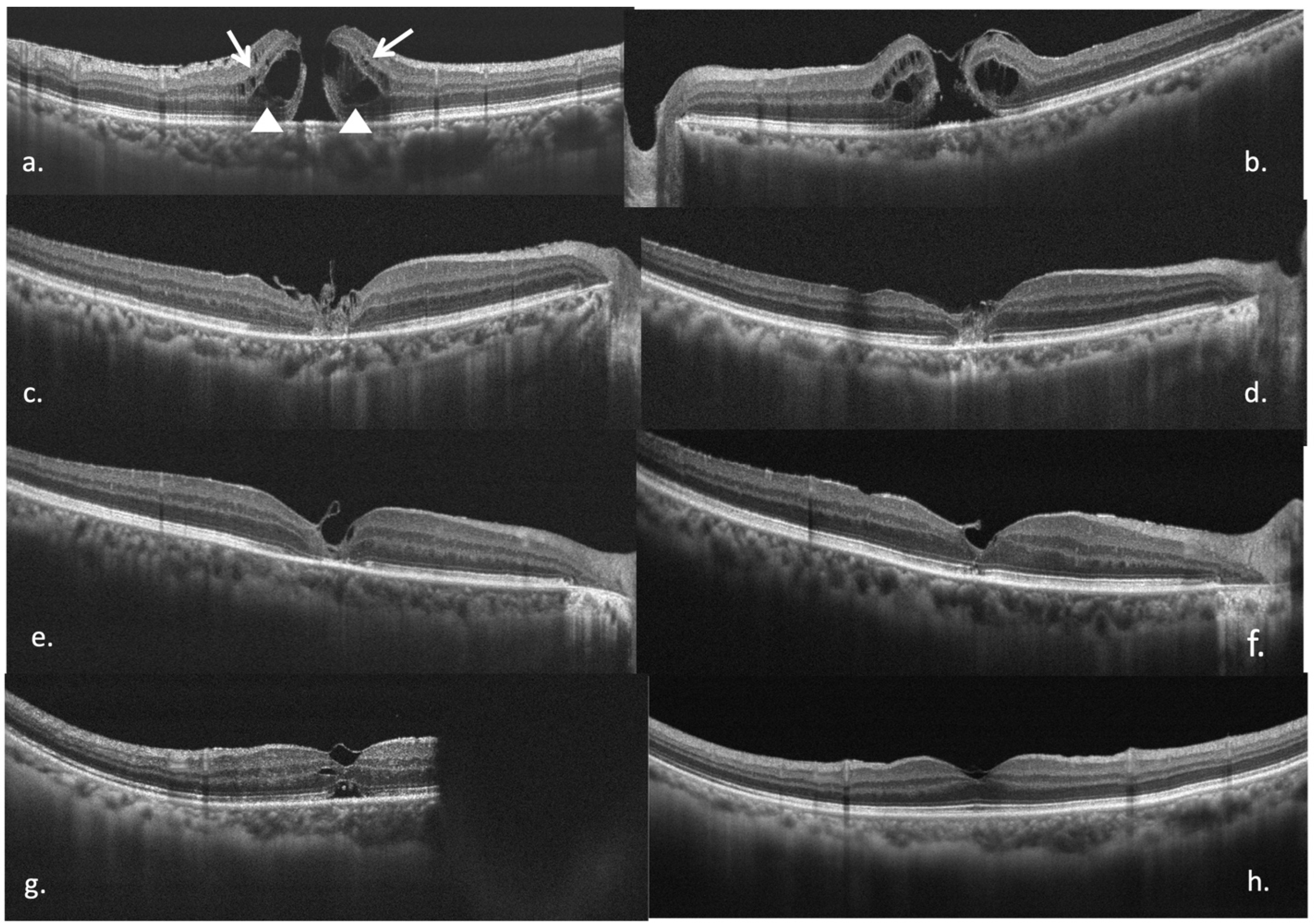 Diagnostics 15 02961 g001