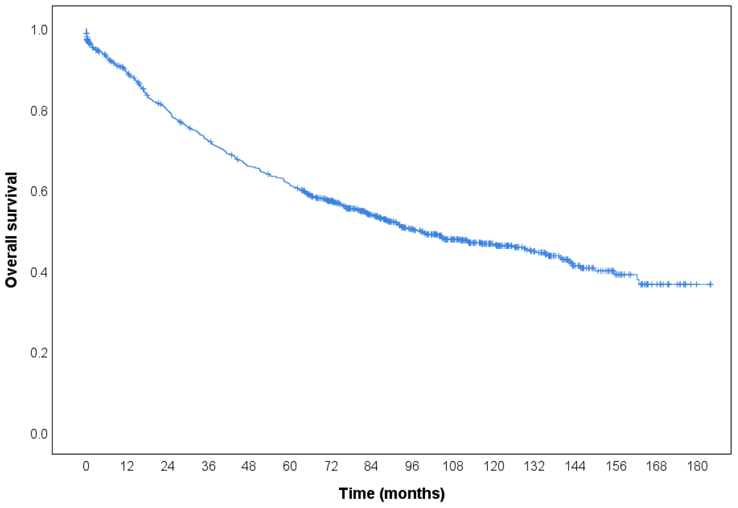 Diagnostics 15 02962 g001