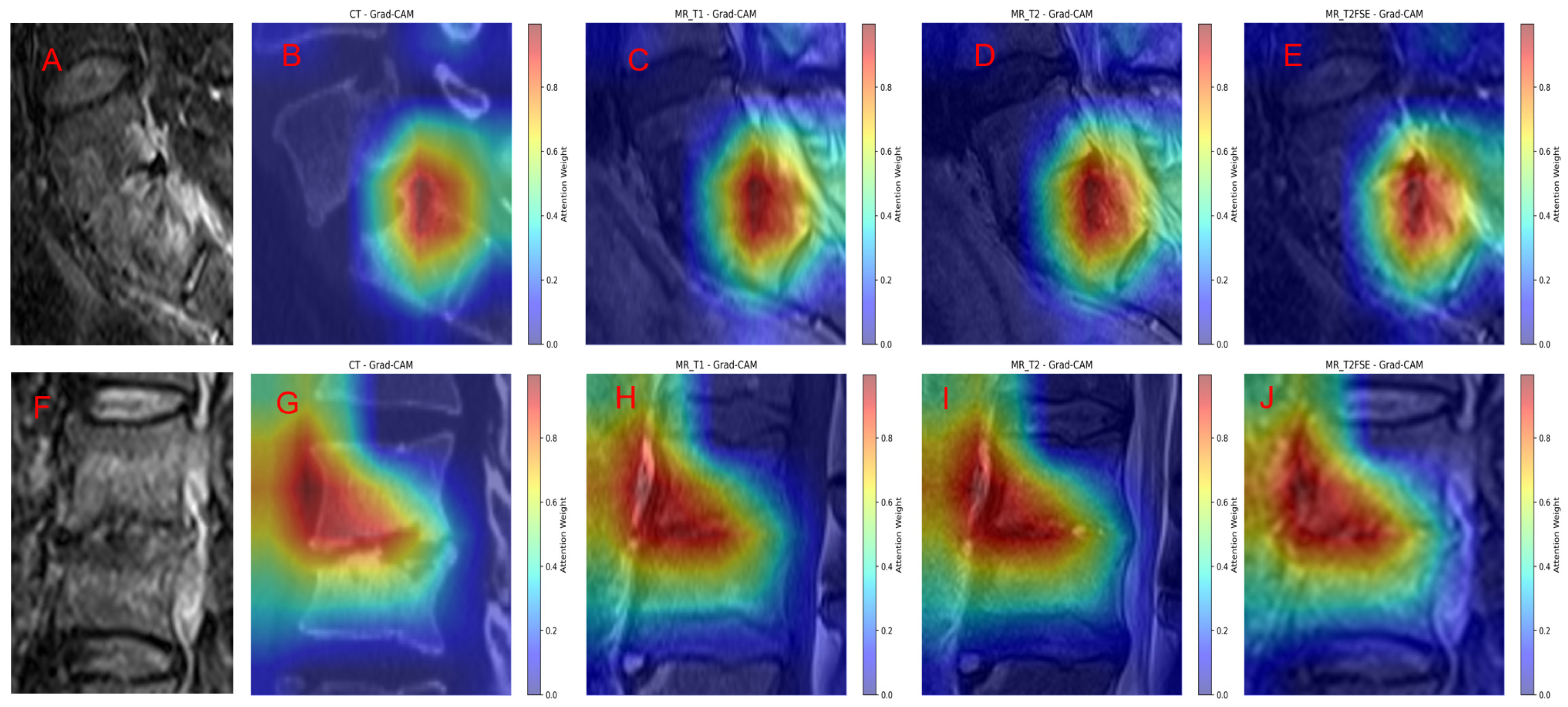Diagnostics 15 02963 g007