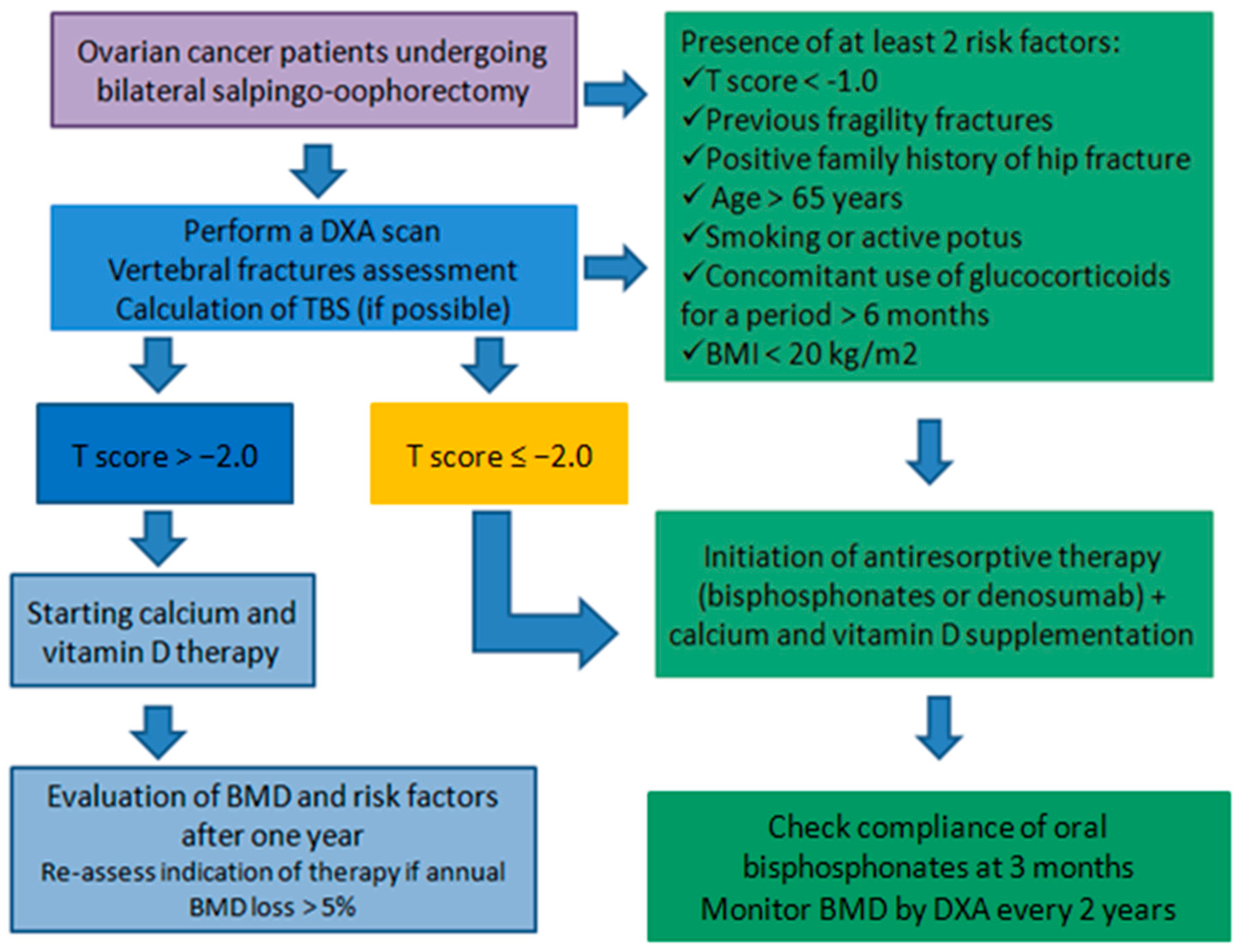 Diagnostics 15 02966 g001