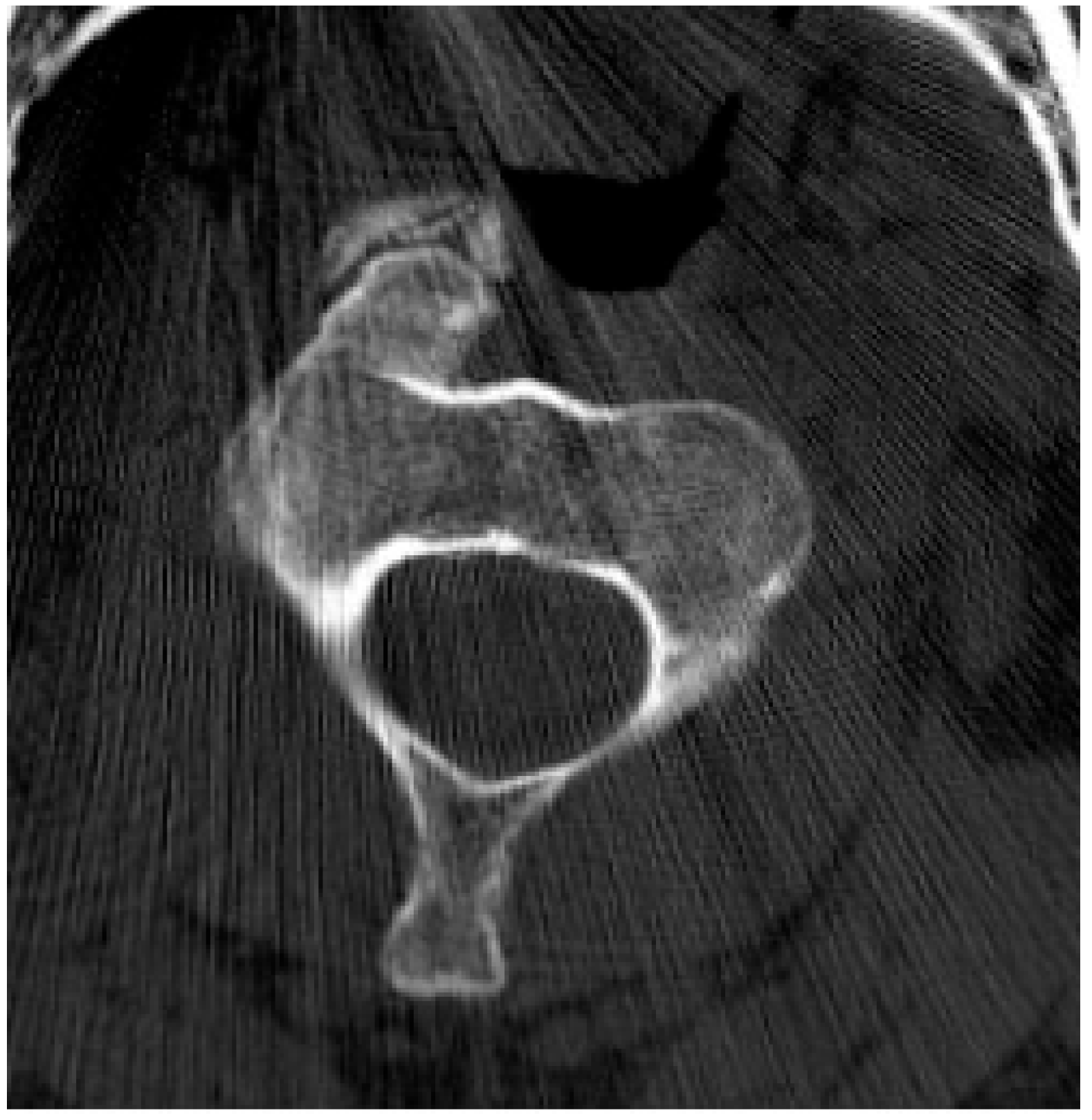 Diagnostics 15 02970 g007 Diagnostics 15 02970 g007