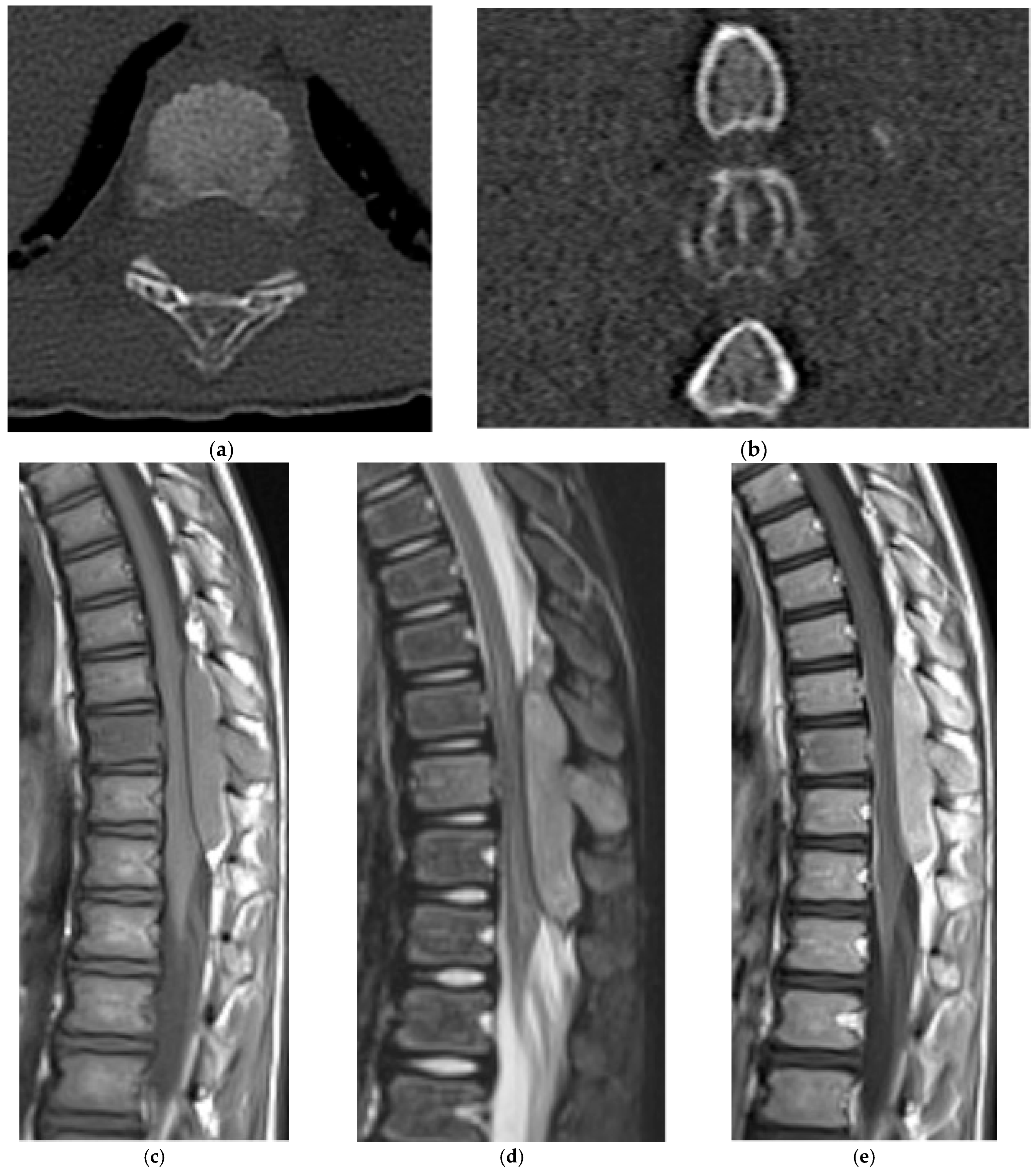Diagnostics 15 02970 g024 Diagnostics 15 02970 g024