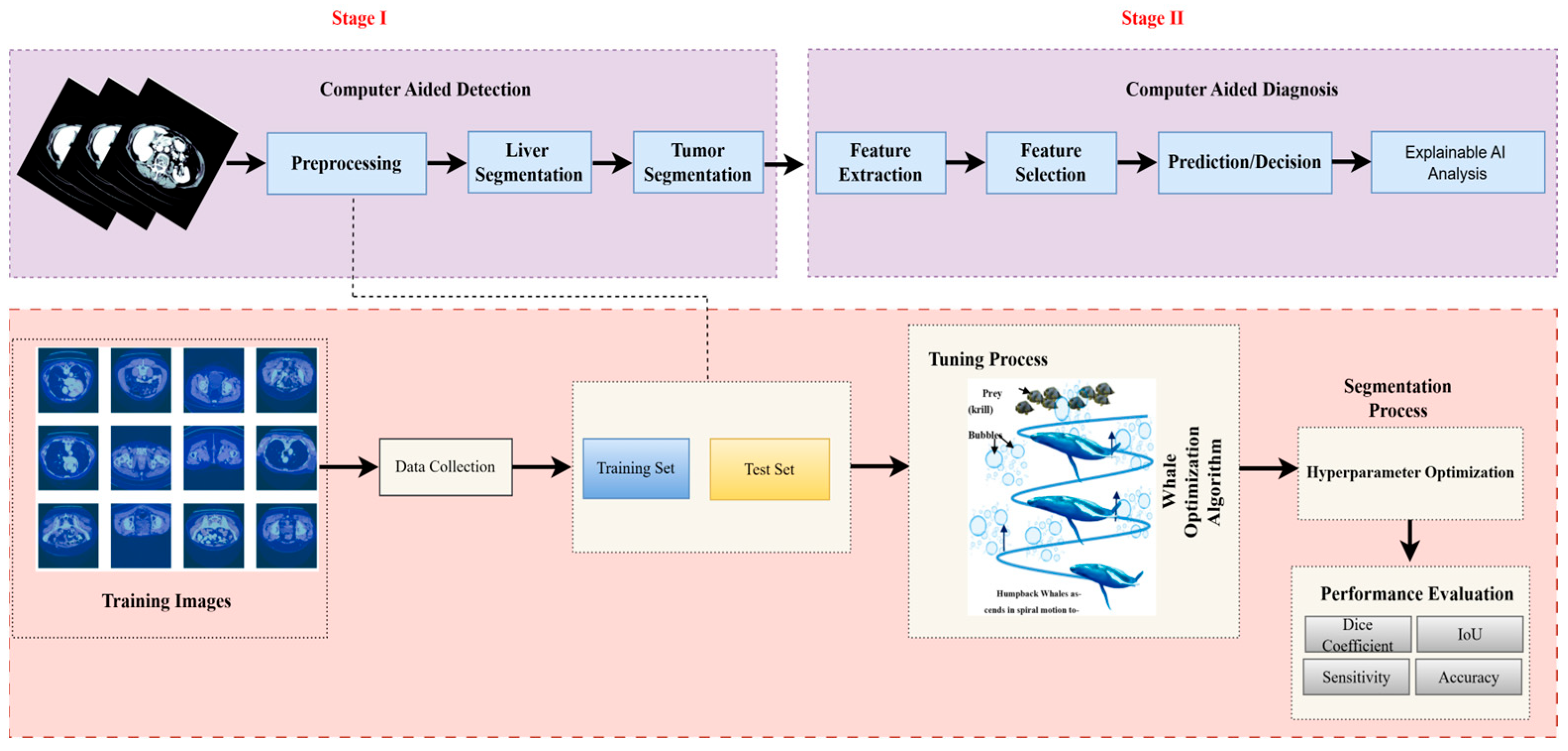 Diagnostics 15 02975 g002