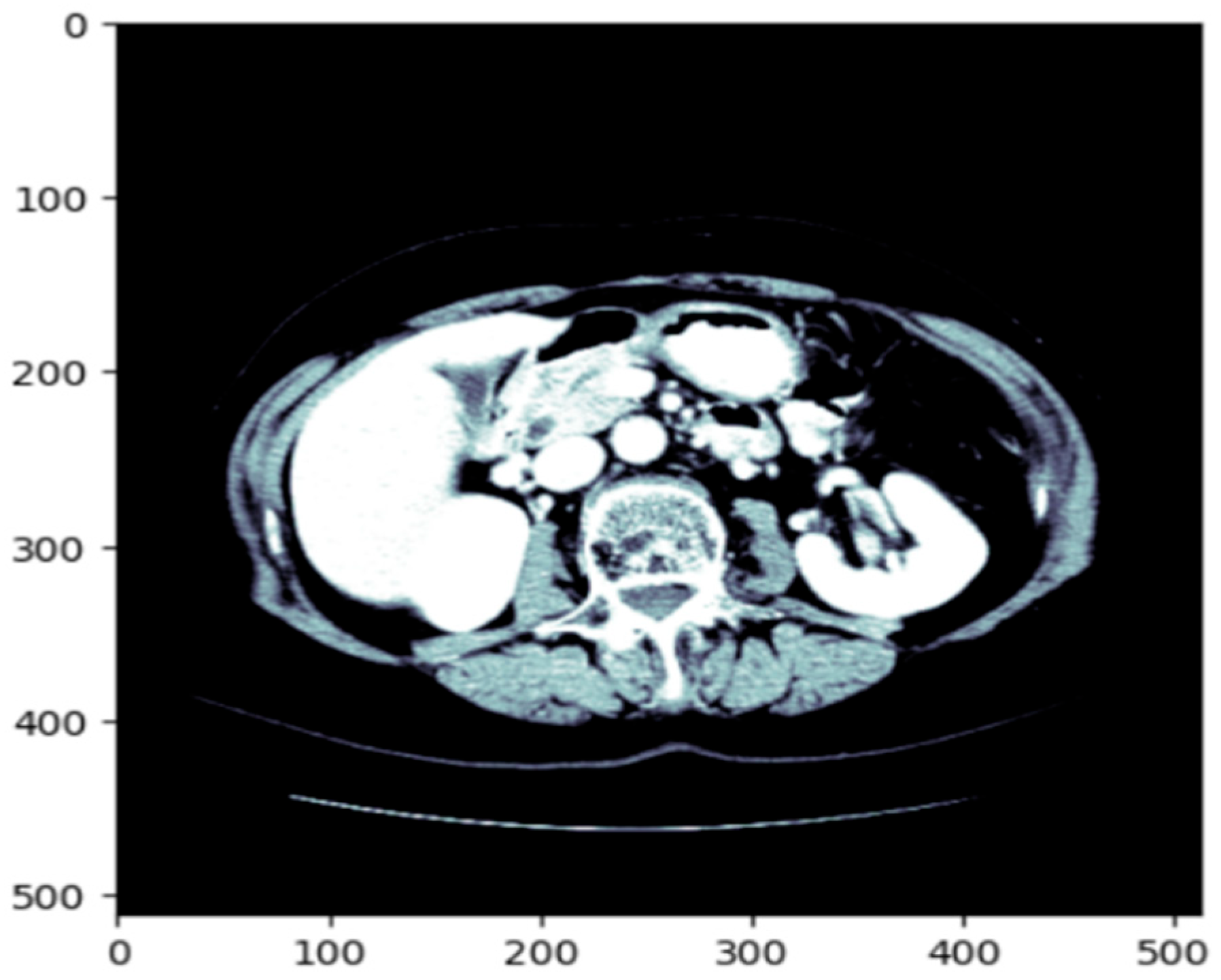 Diagnostics 15 02975 g003