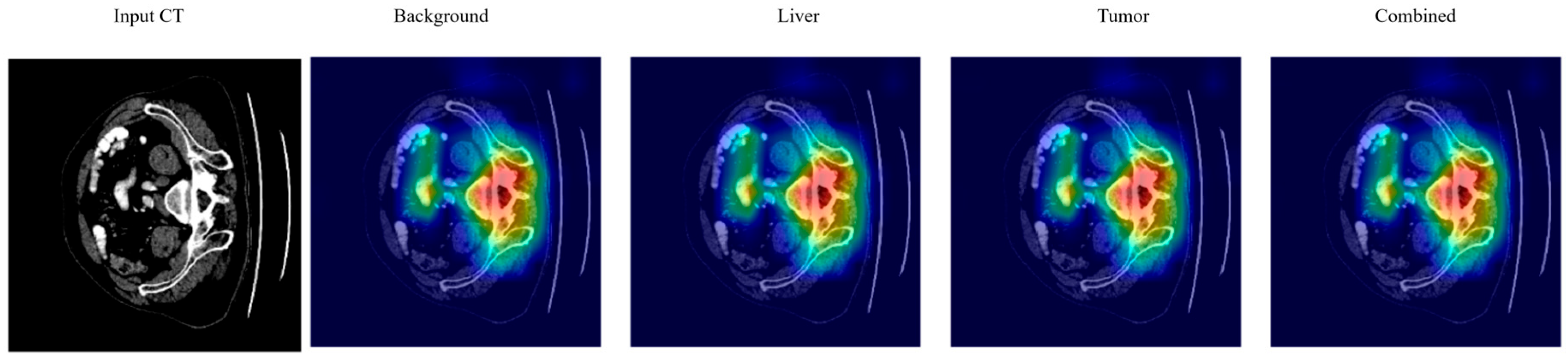 Diagnostics 15 02975 g013
