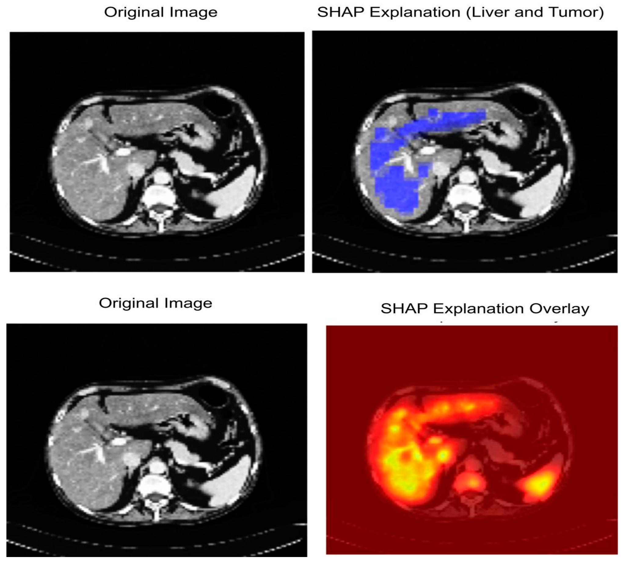 Diagnostics 15 02975 g014