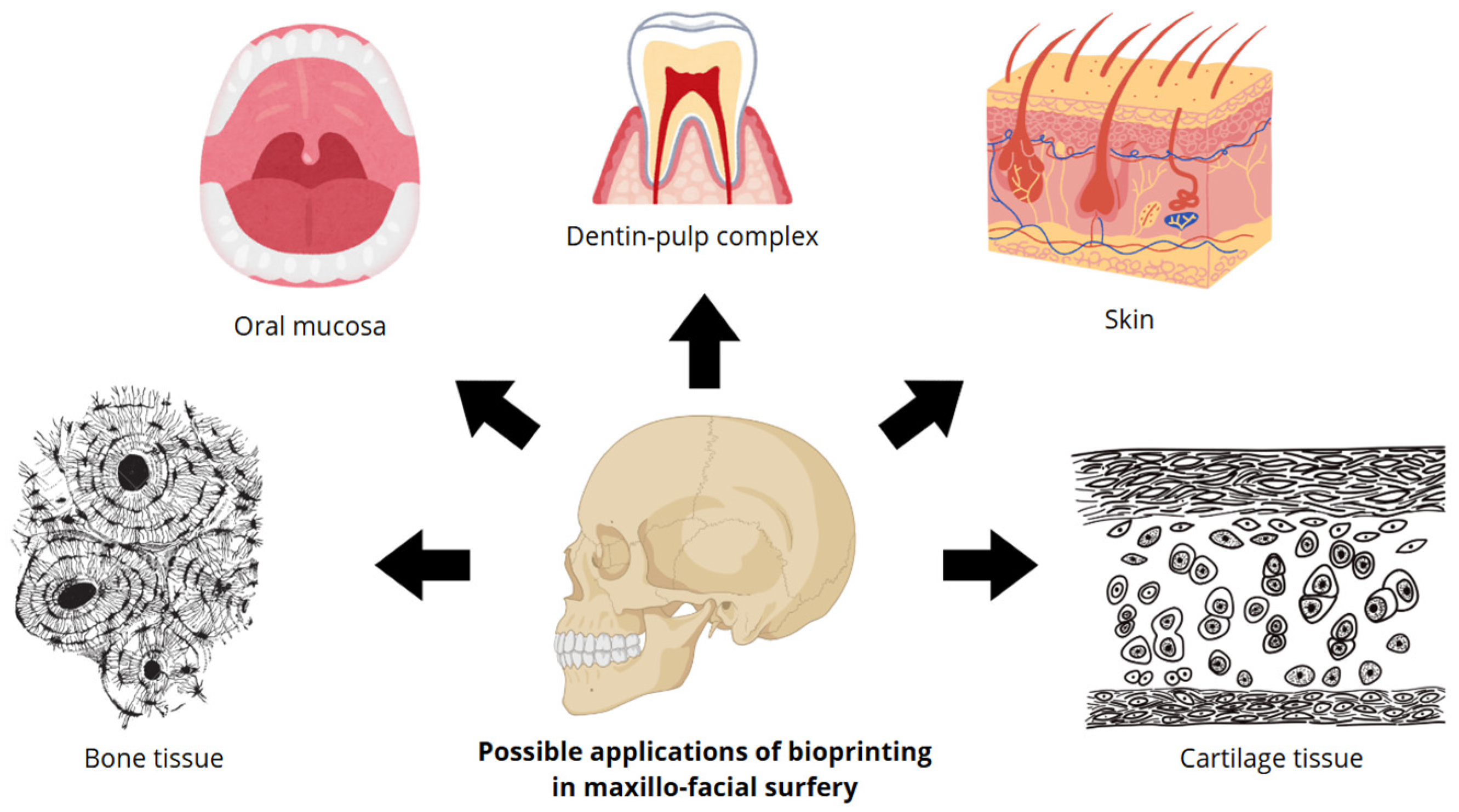Diagnostics 15 02978 g001