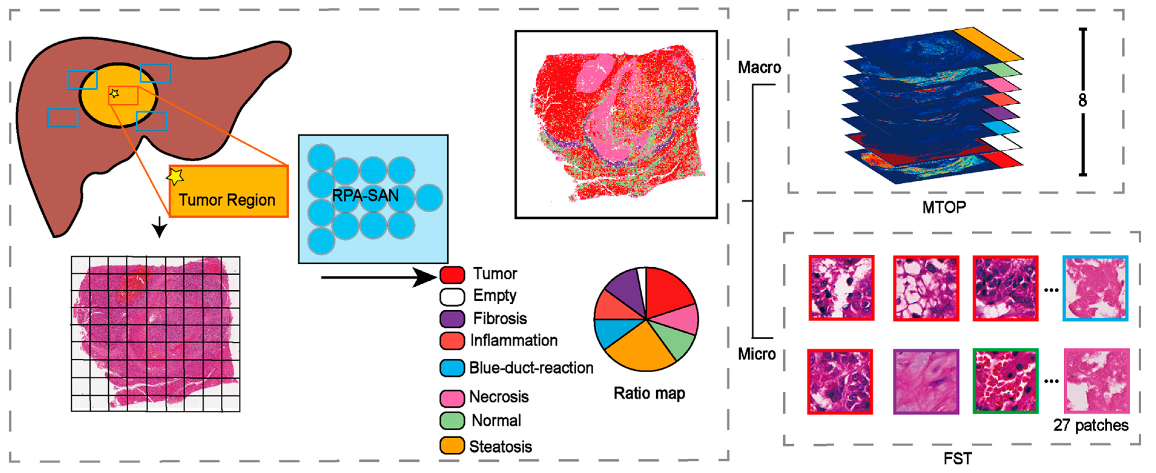 Diagnostics 15 02981 g001