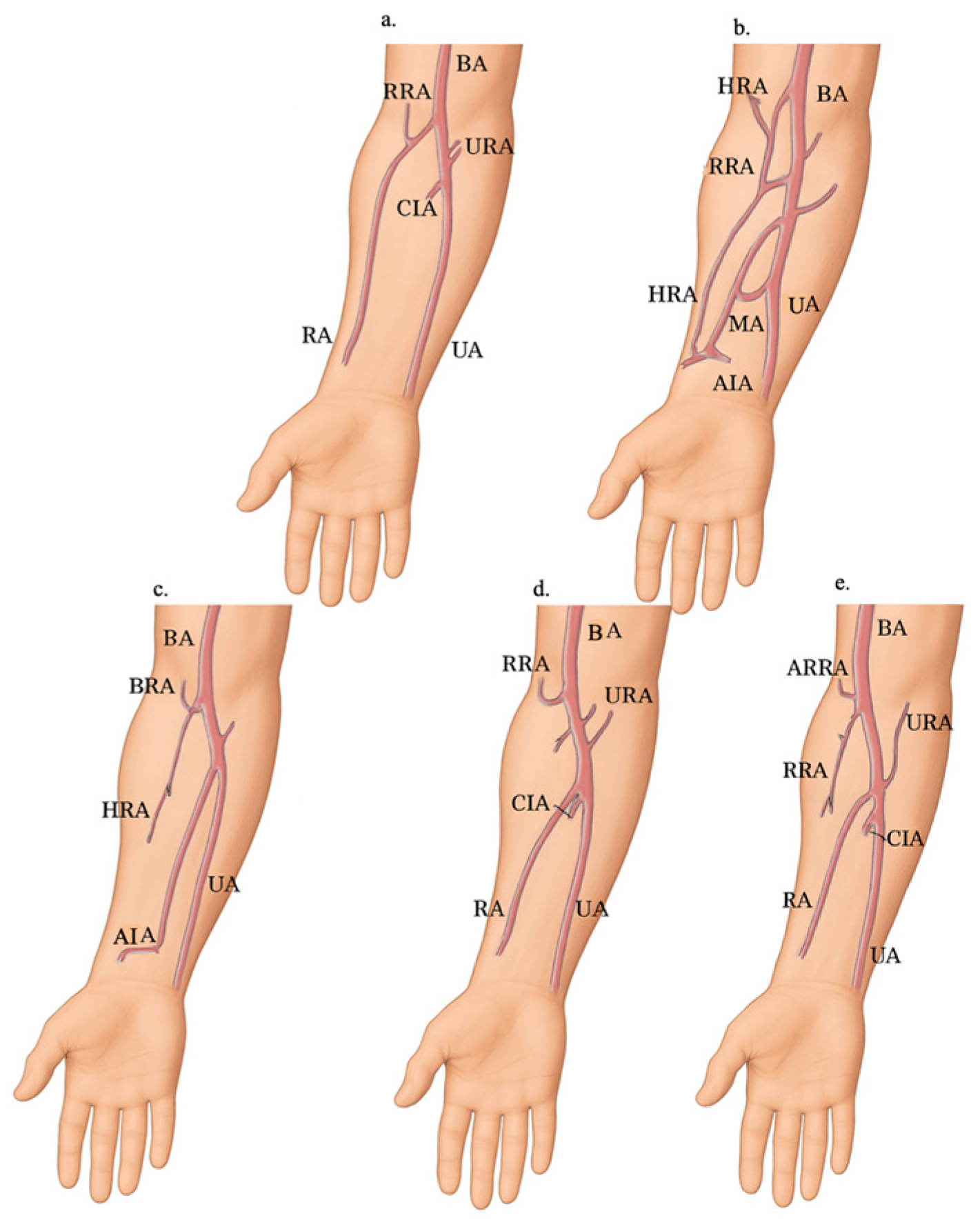 Diagnostics 15 02984 g002