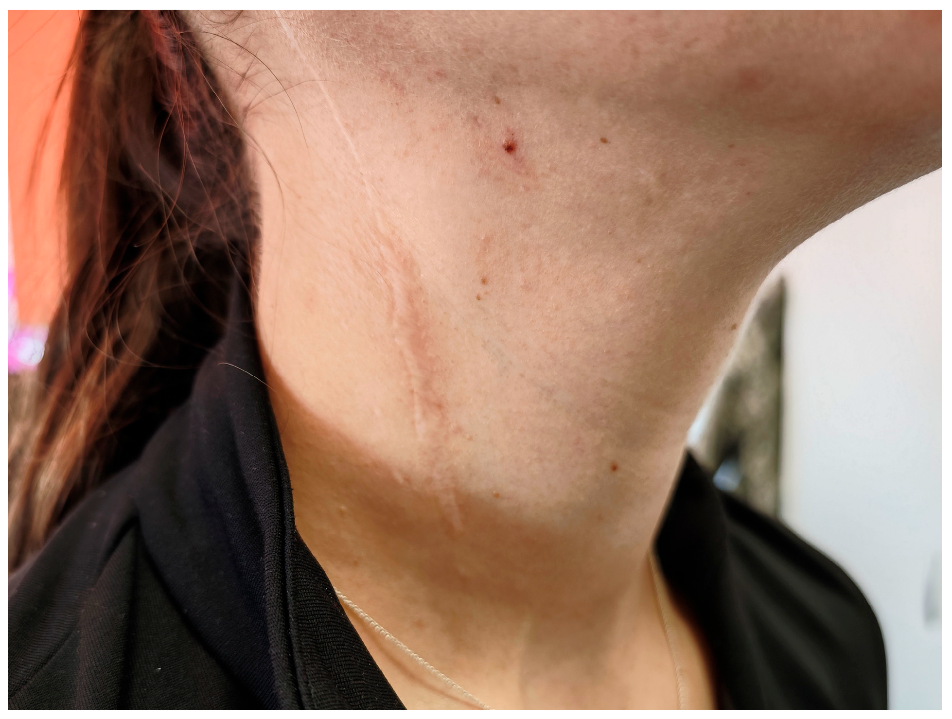 Diagnostics 15 02988 g001