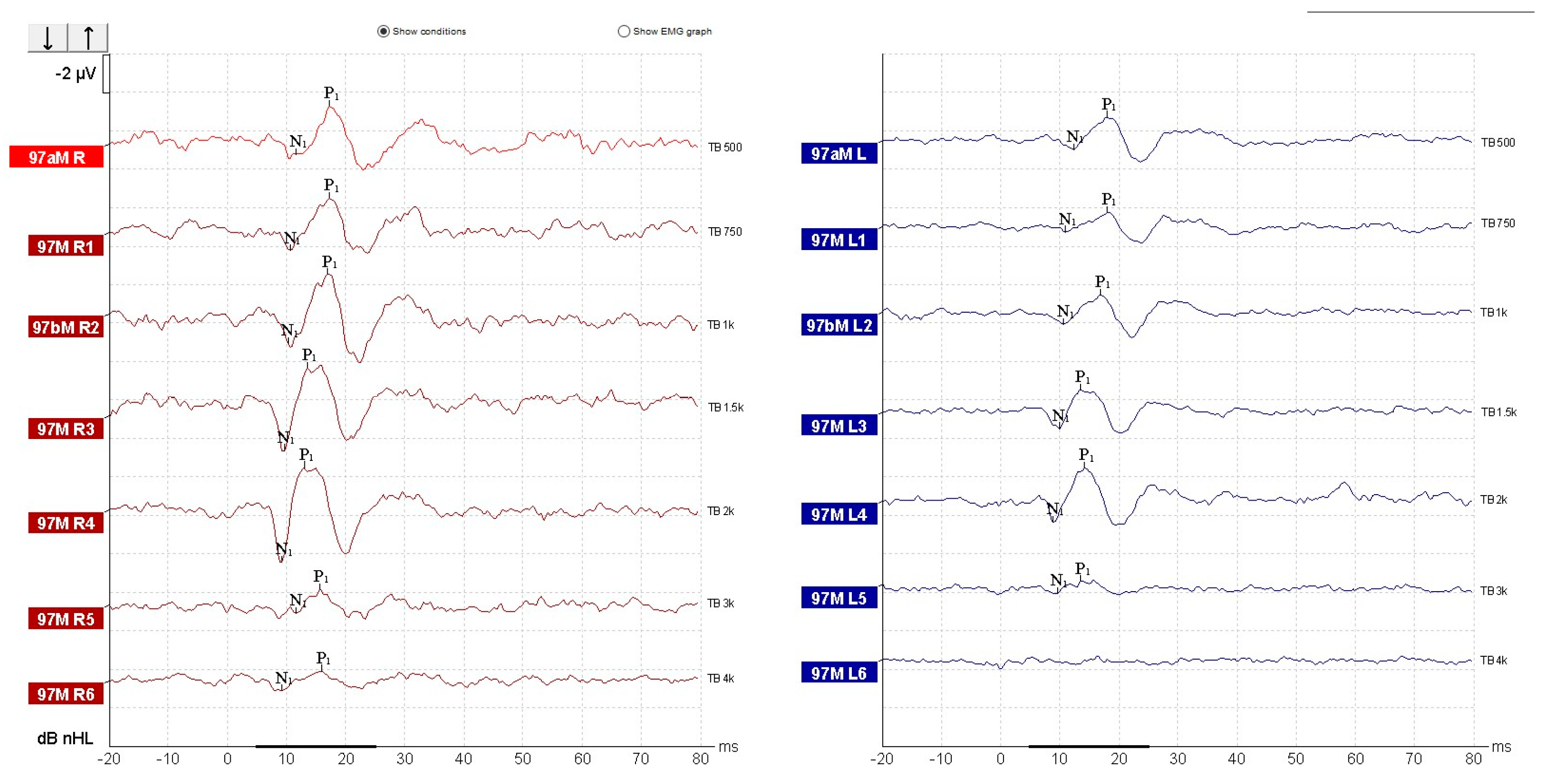 Diagnostics 15 02988 g006