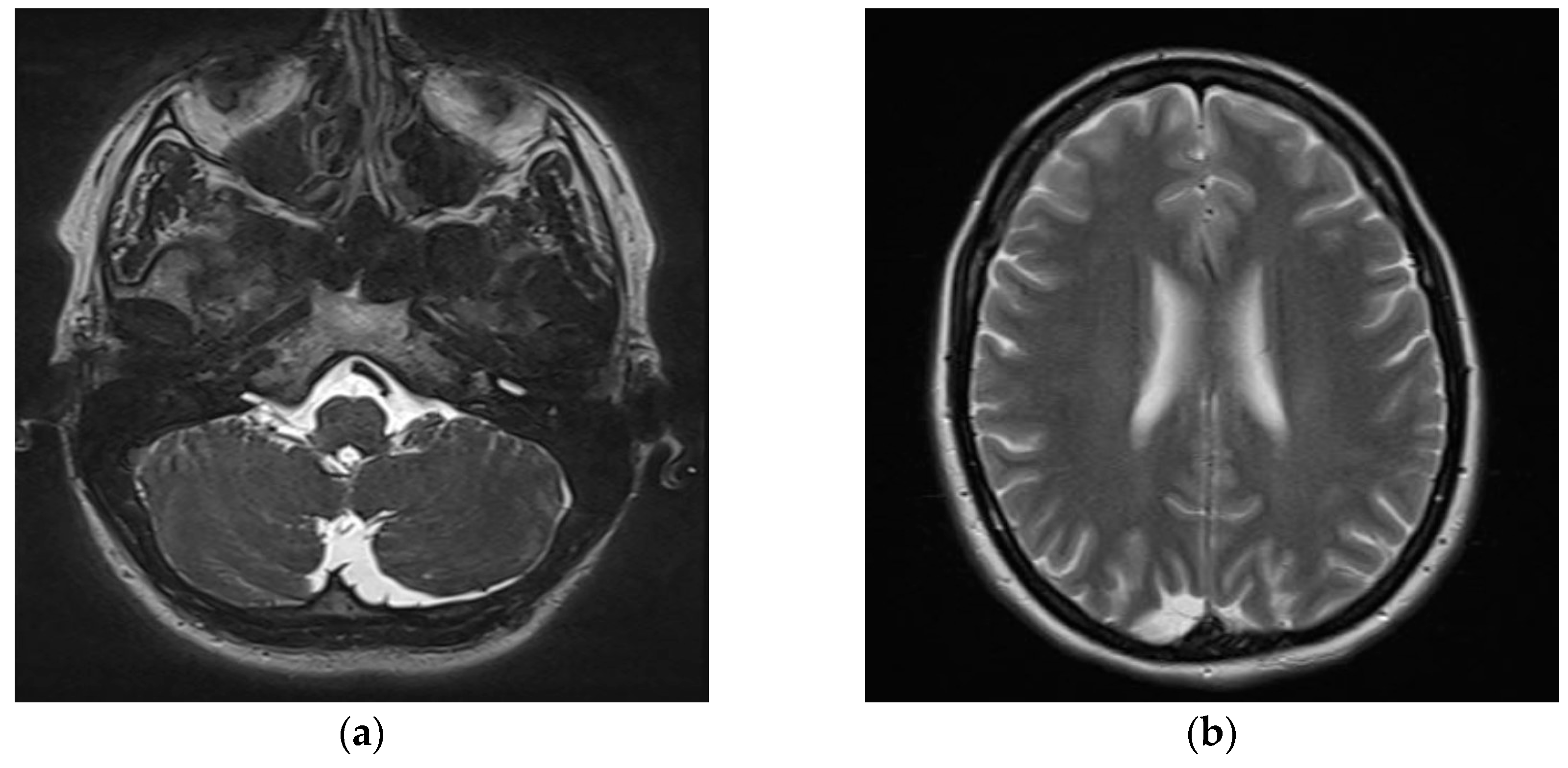 Diagnostics 15 02988 g010