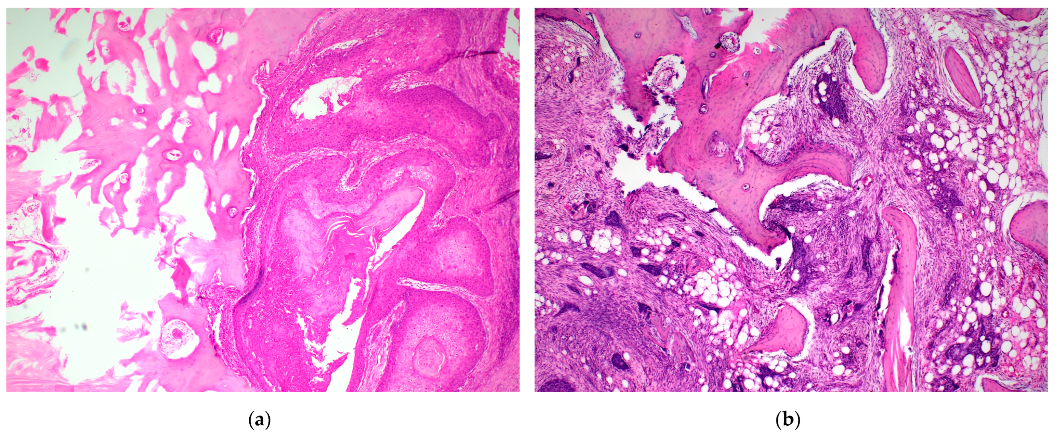 Diagnostics 15 02989 g001