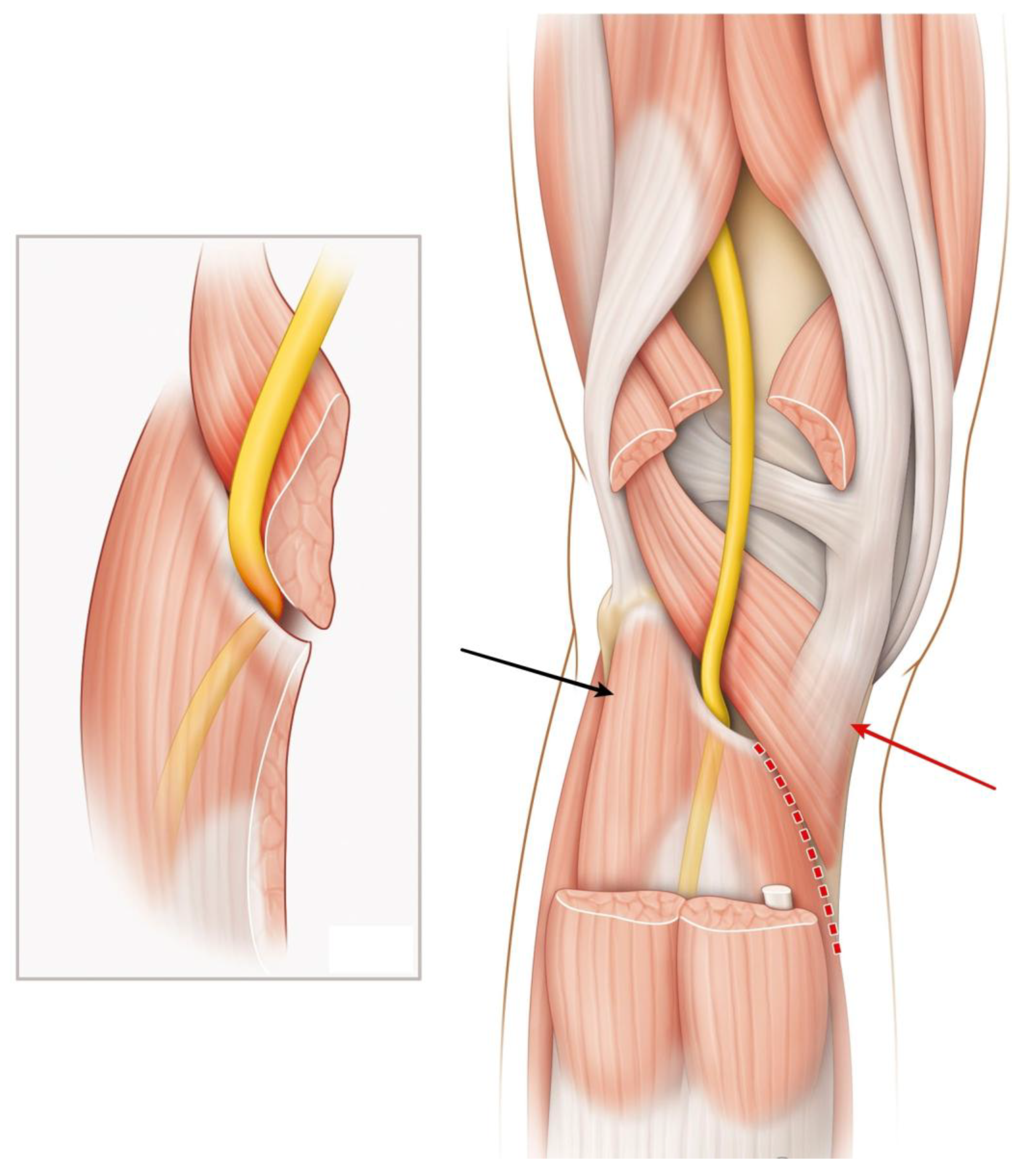 Diagnostics 15 02990 g001
