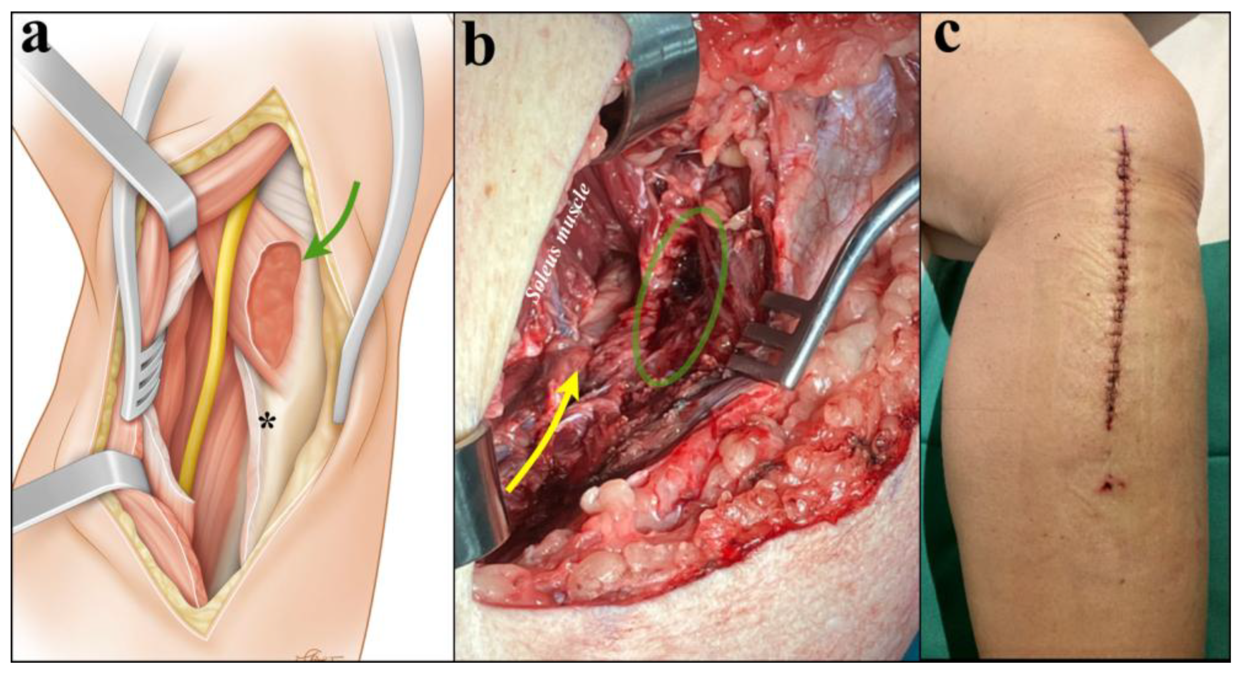 Diagnostics 15 02990 g004
