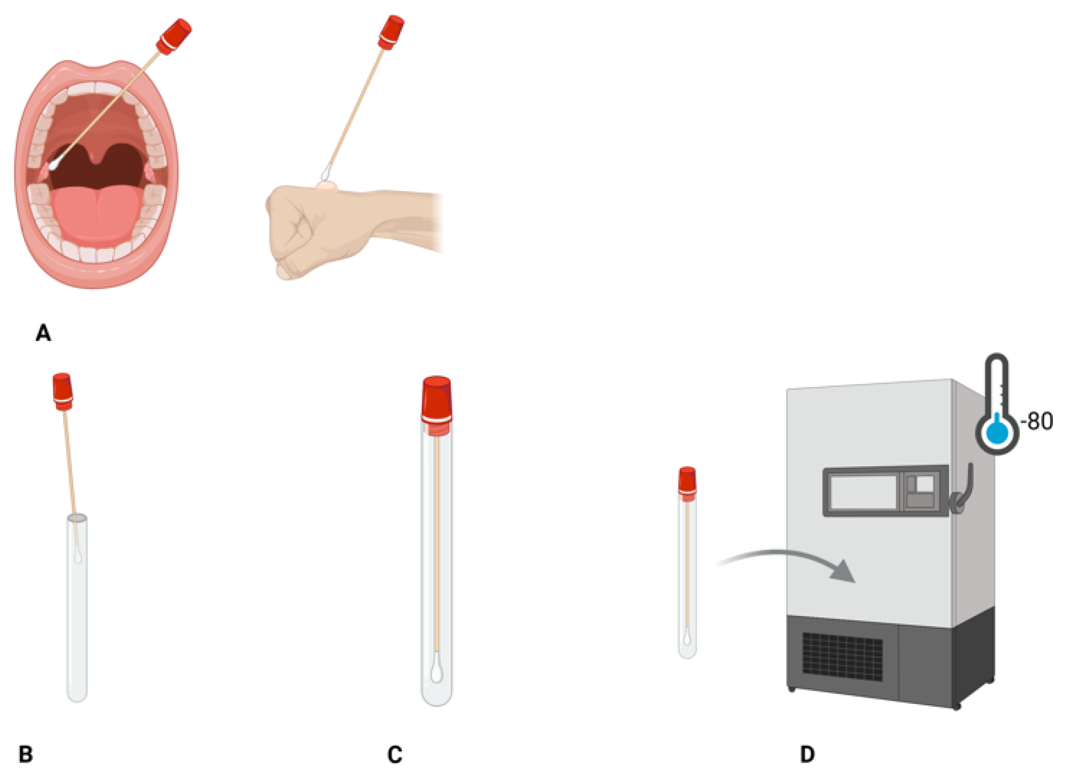Diagnostics 15 02991 g003