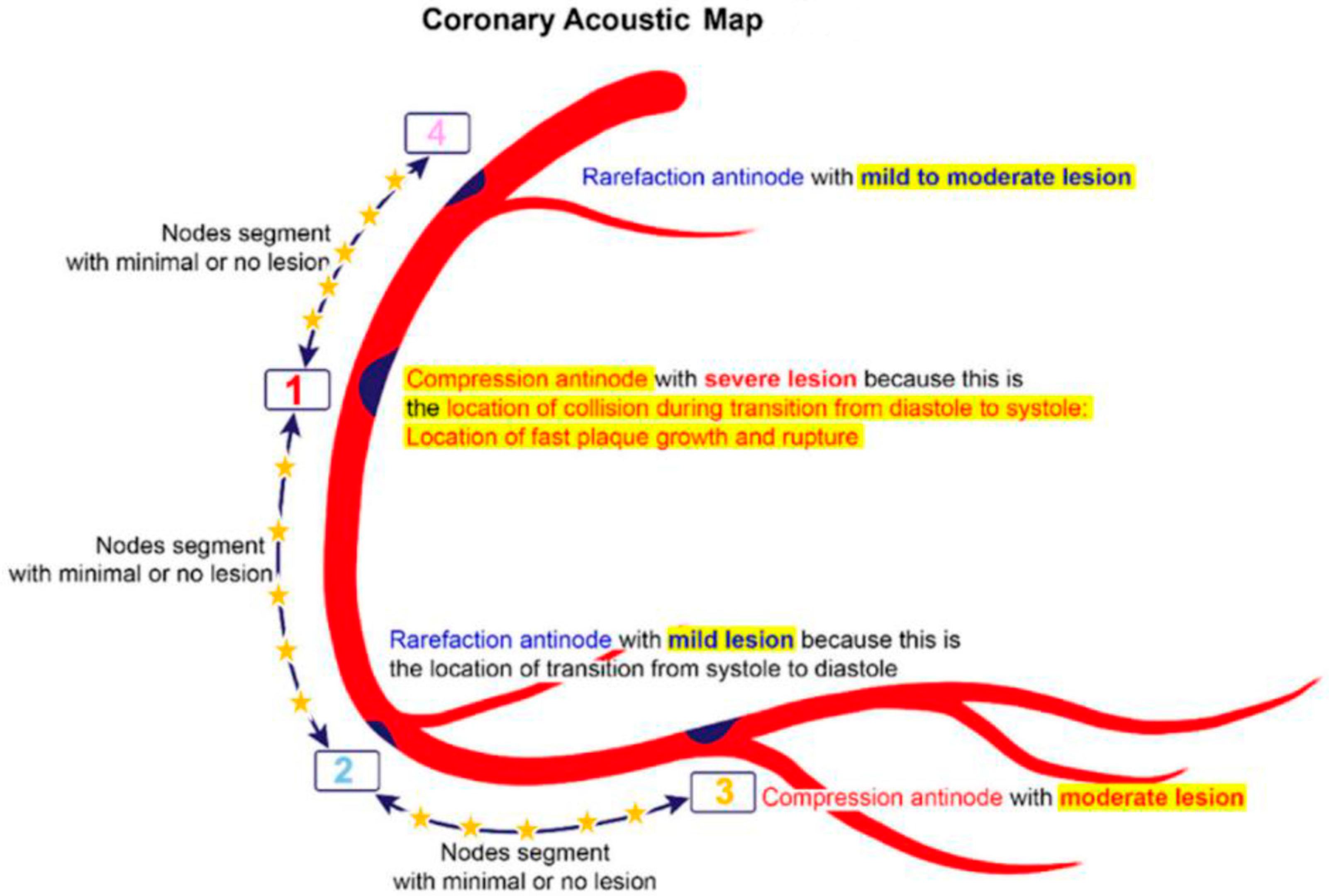 Diagnostics 15 02994 g001