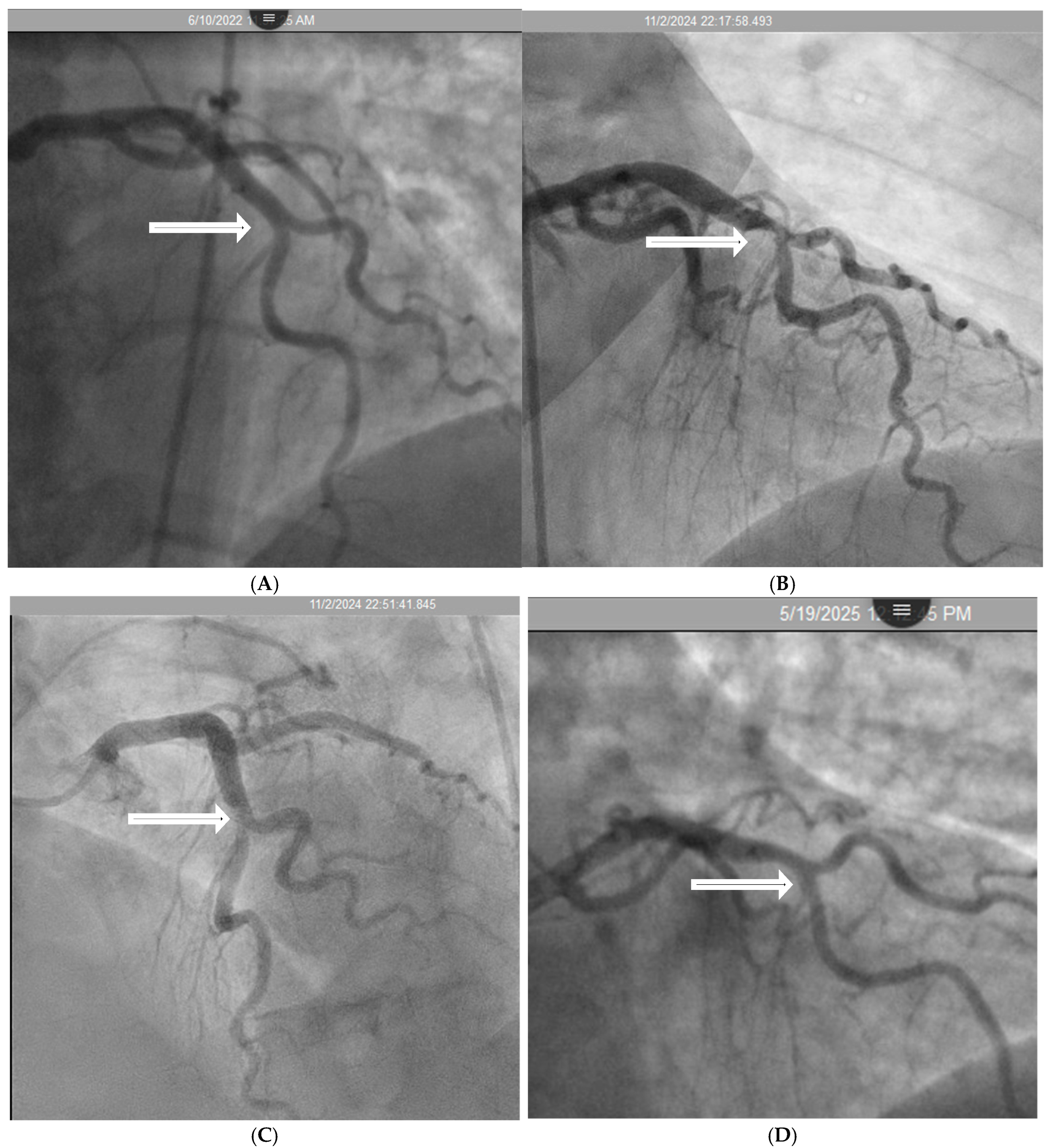 Diagnostics 15 02994 g003