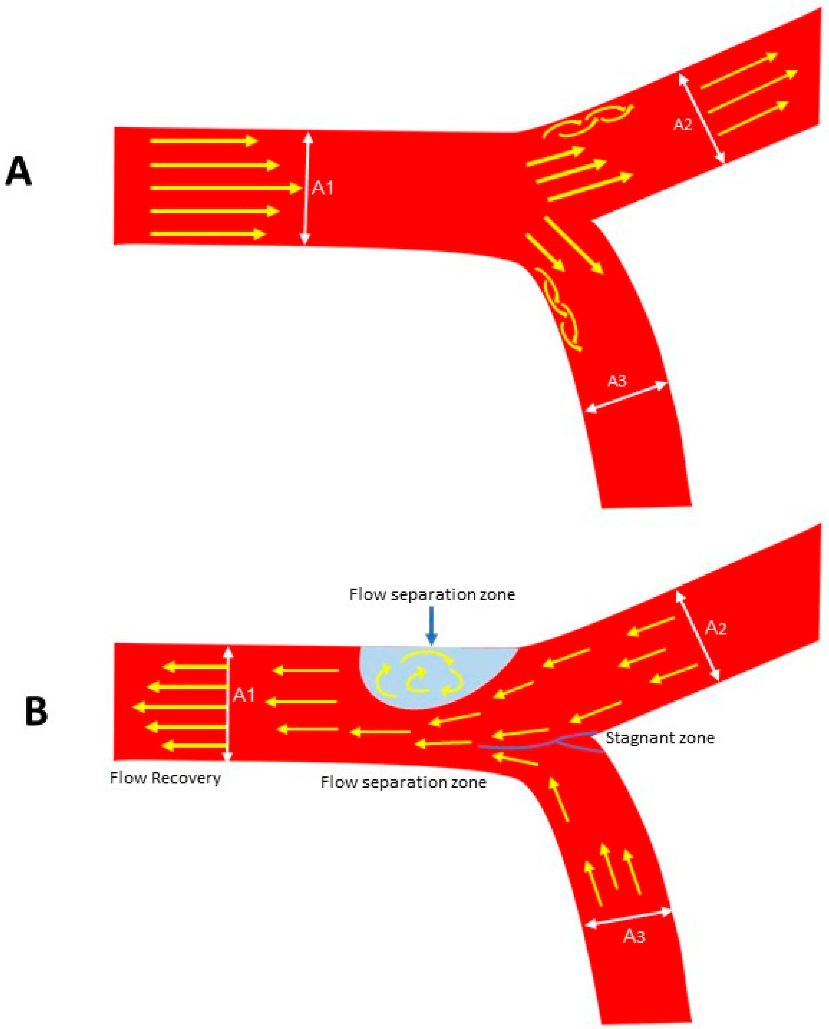 Diagnostics 15 02994 g008