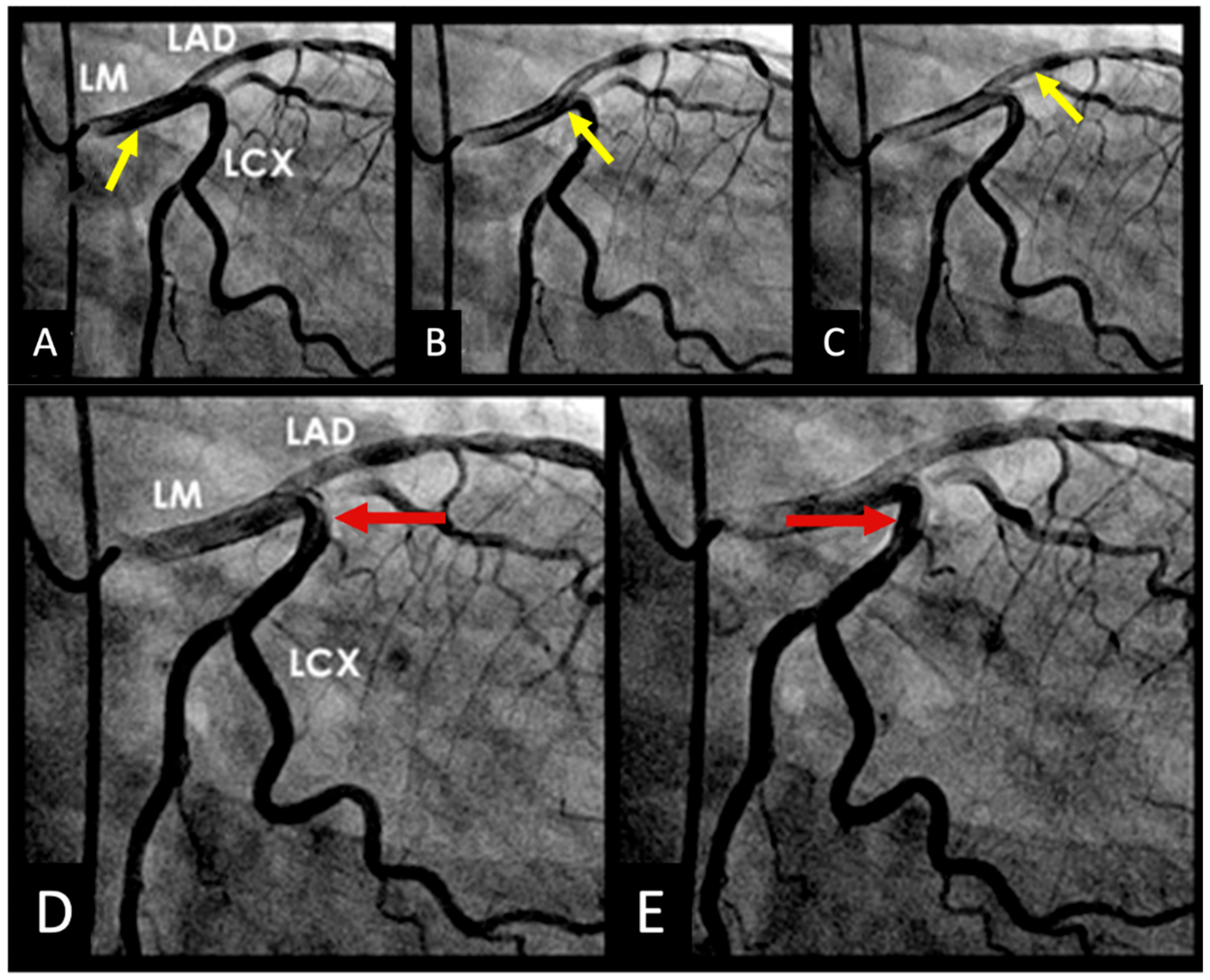 Diagnostics 15 02994 g009a