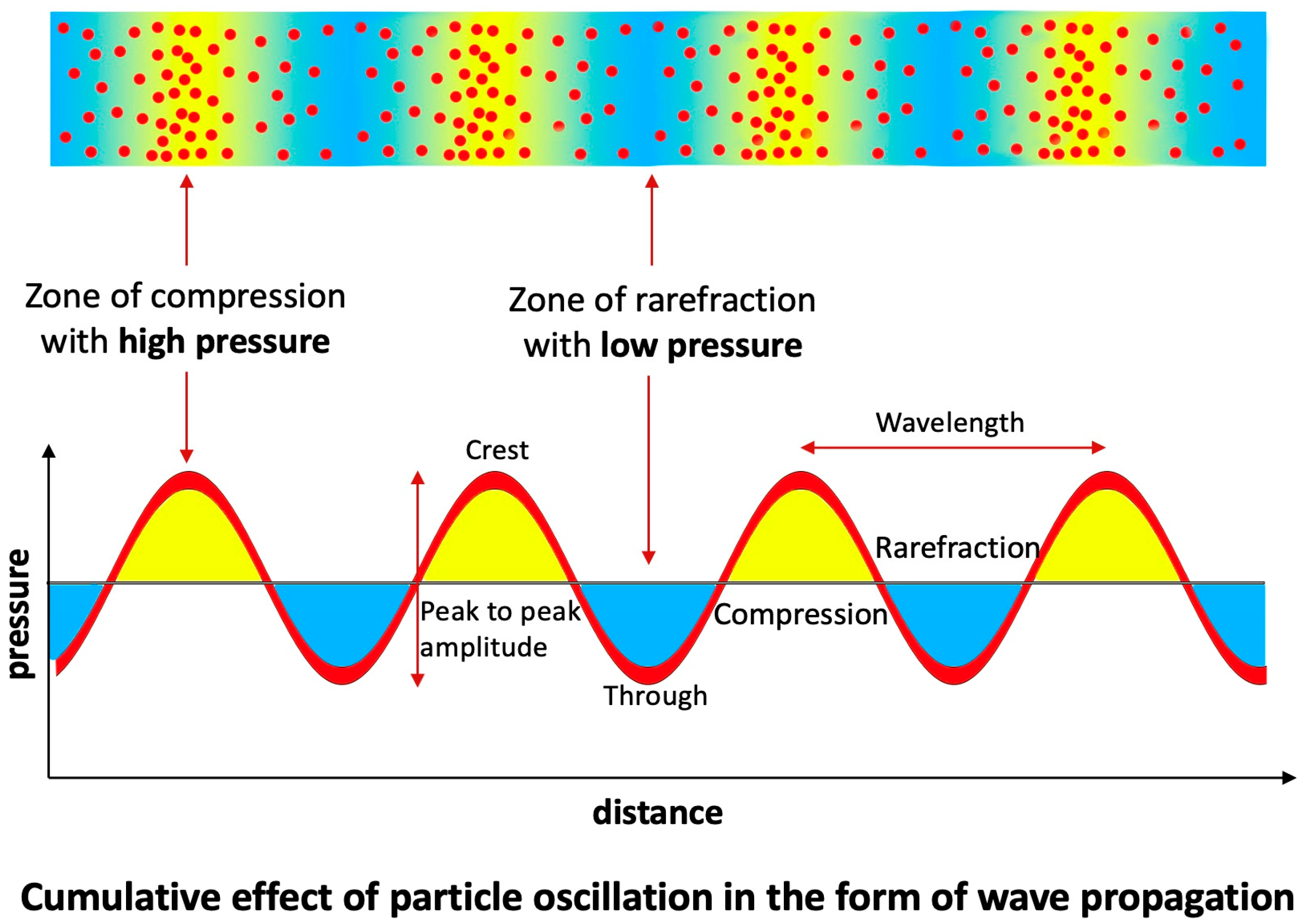 Diagnostics 15 02994 g011