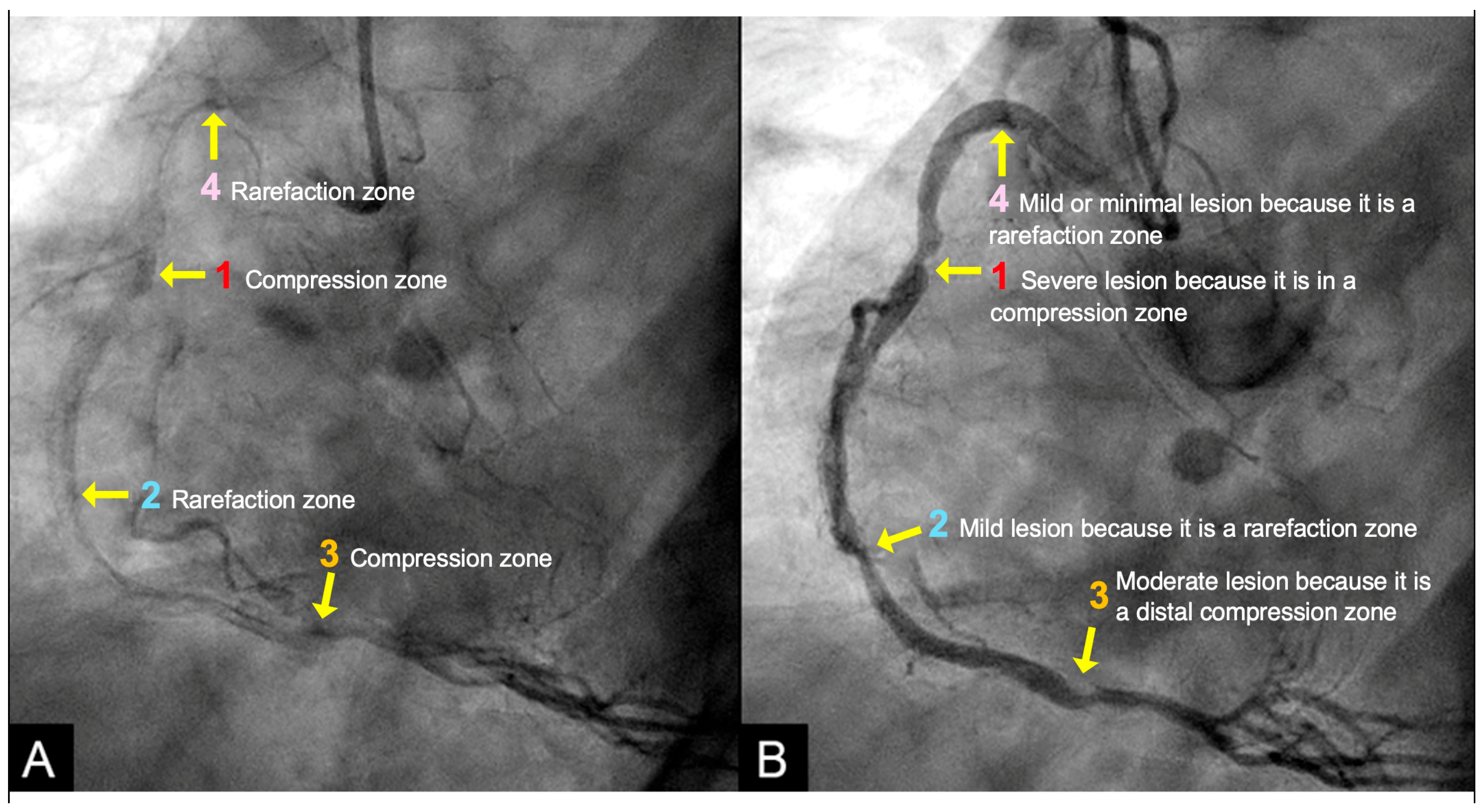Diagnostics 15 02994 g012