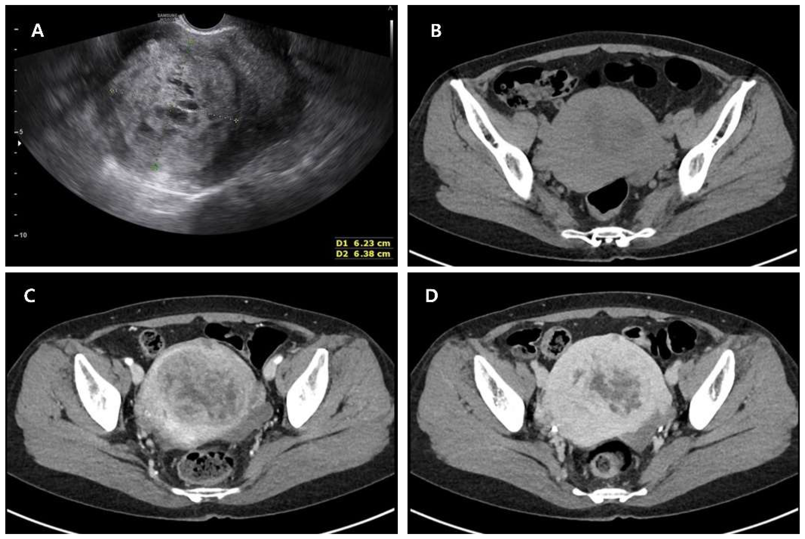 Diagnostics 15 02995 g001
