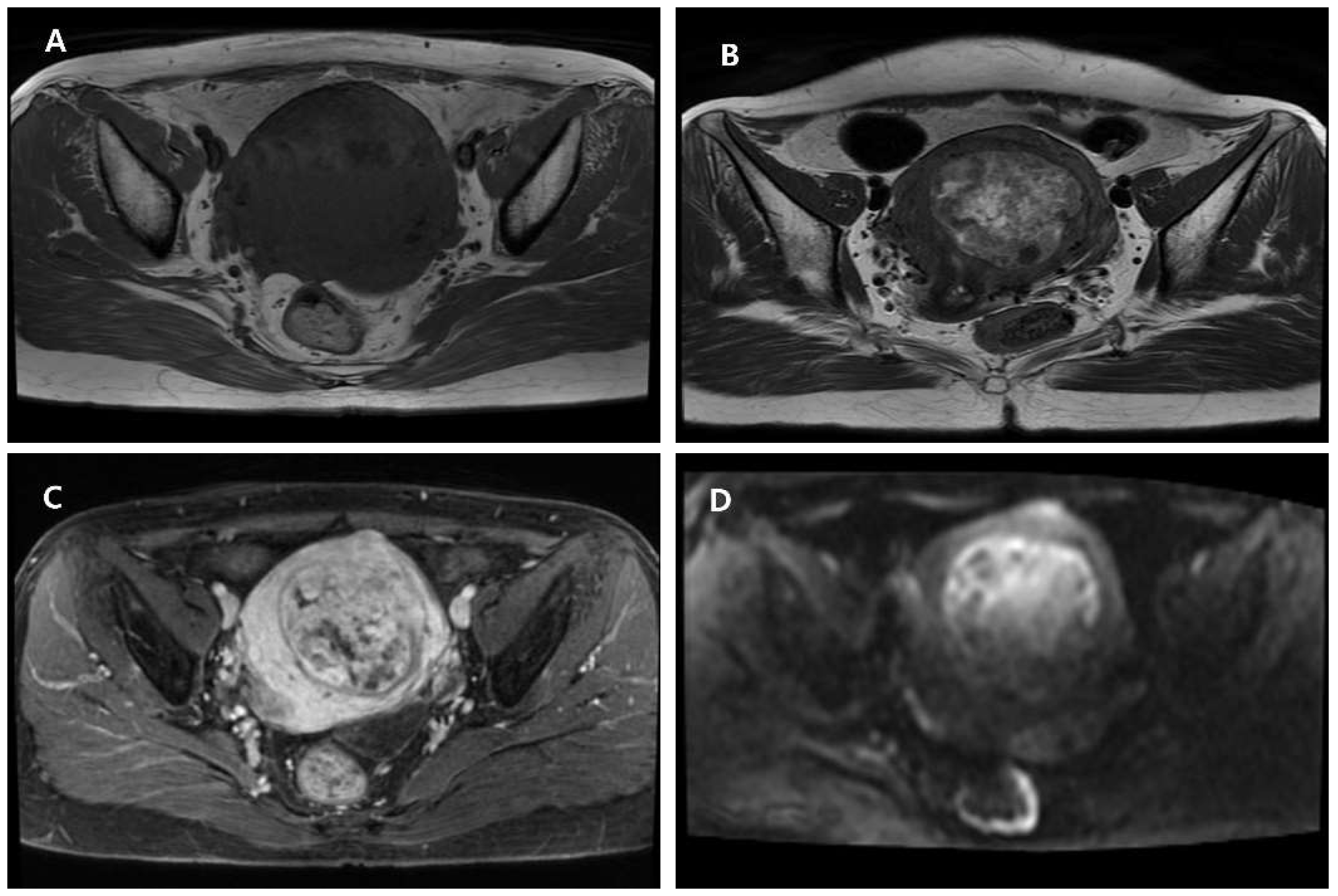 Diagnostics 15 02995 g002