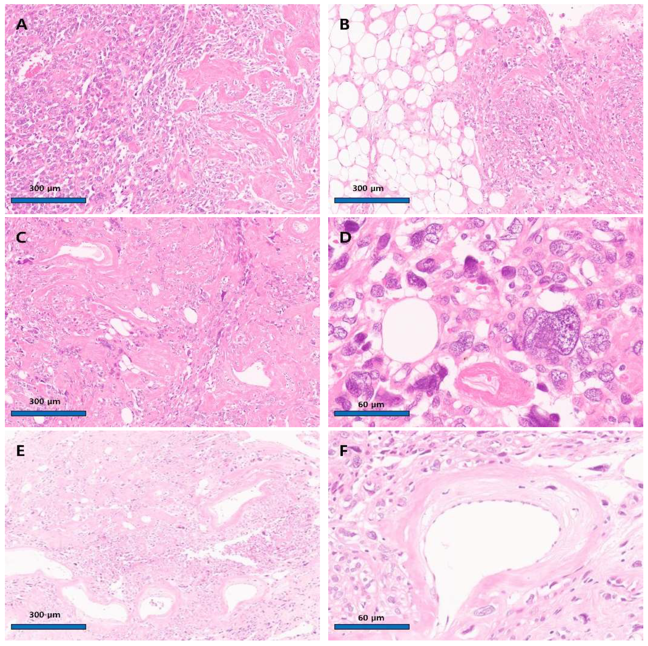 Diagnostics 15 02995 g003