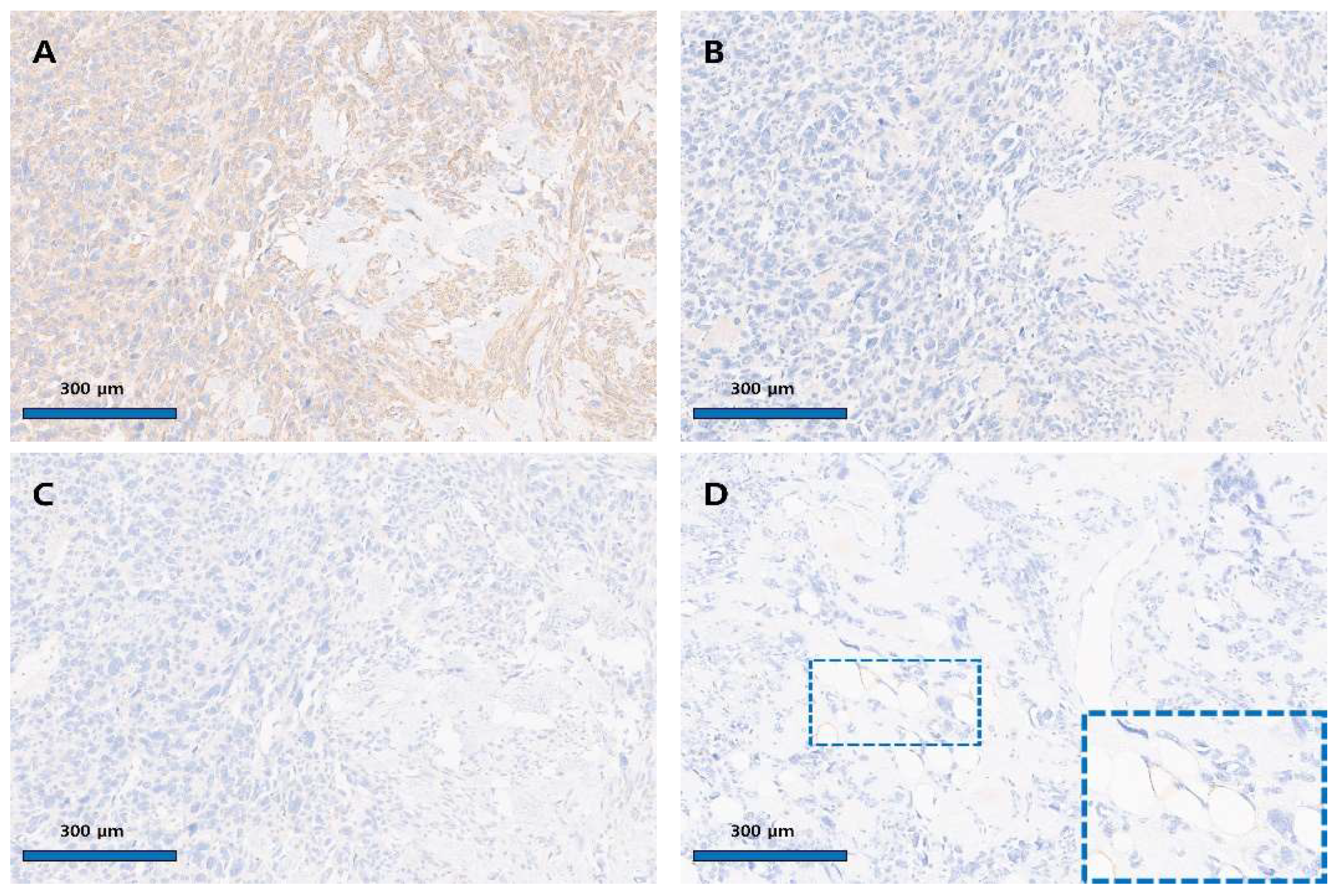 Diagnostics 15 02995 g004