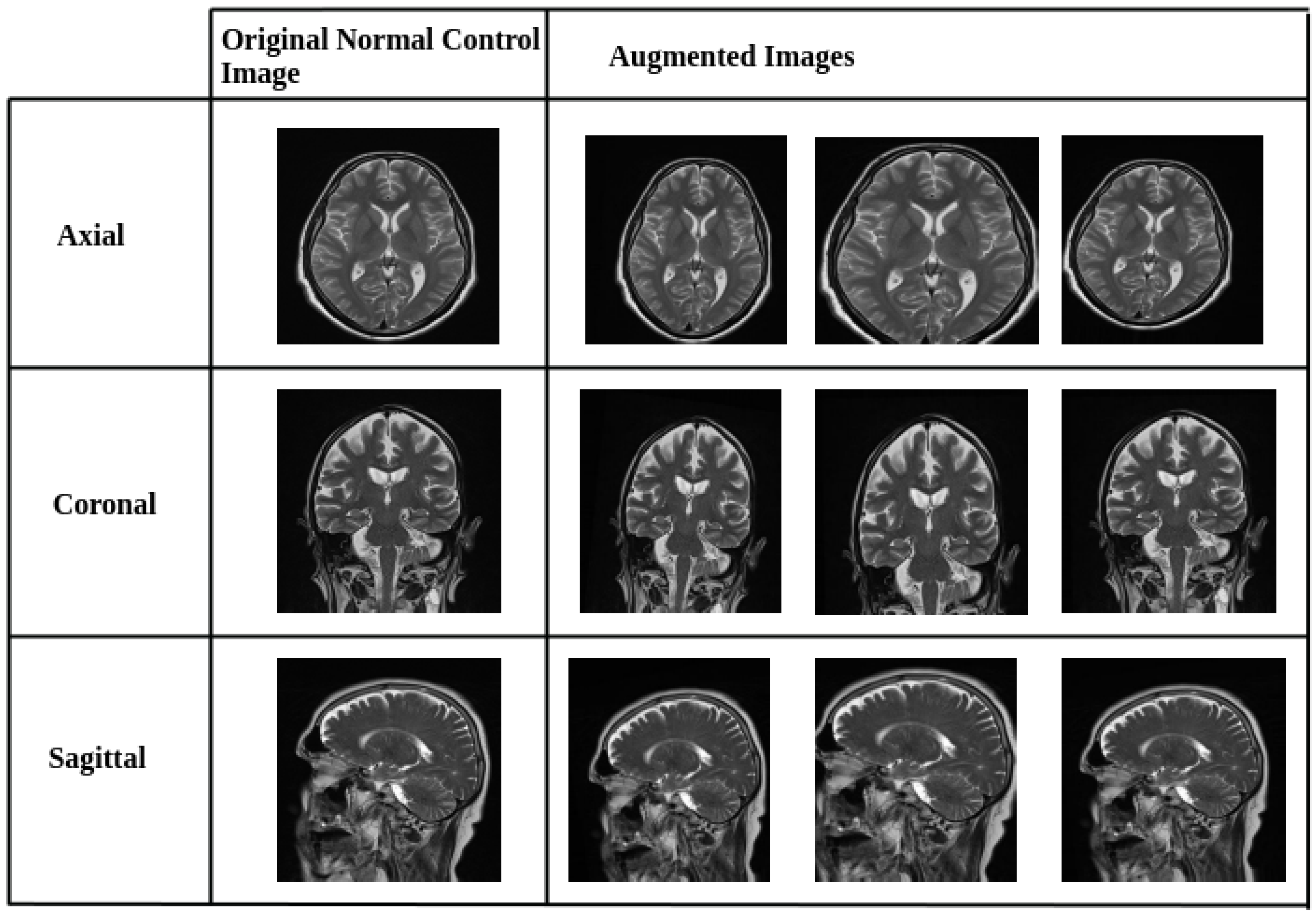 Diagnostics 15 02997 g001