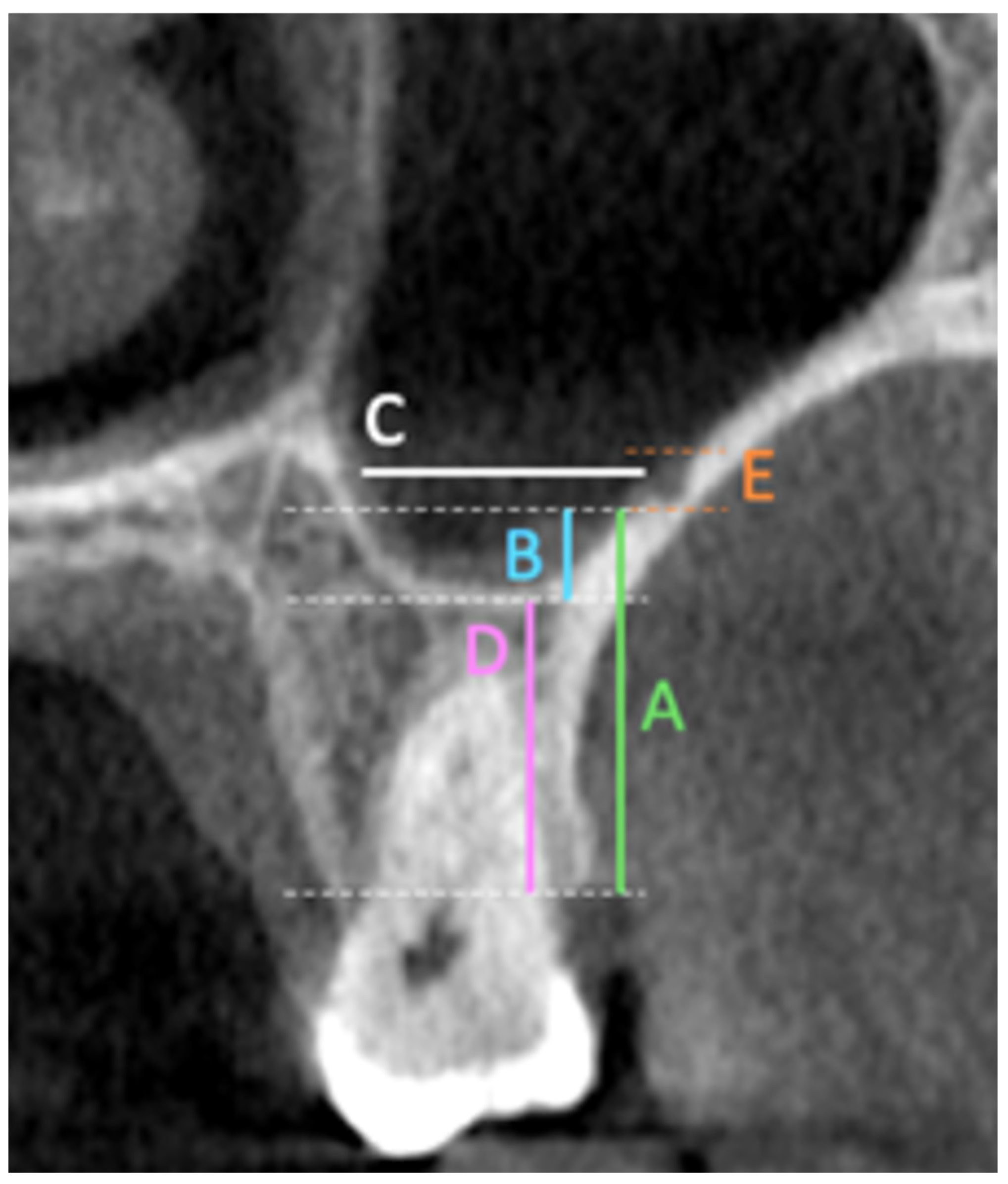 Diagnostics 15 02999 g001
