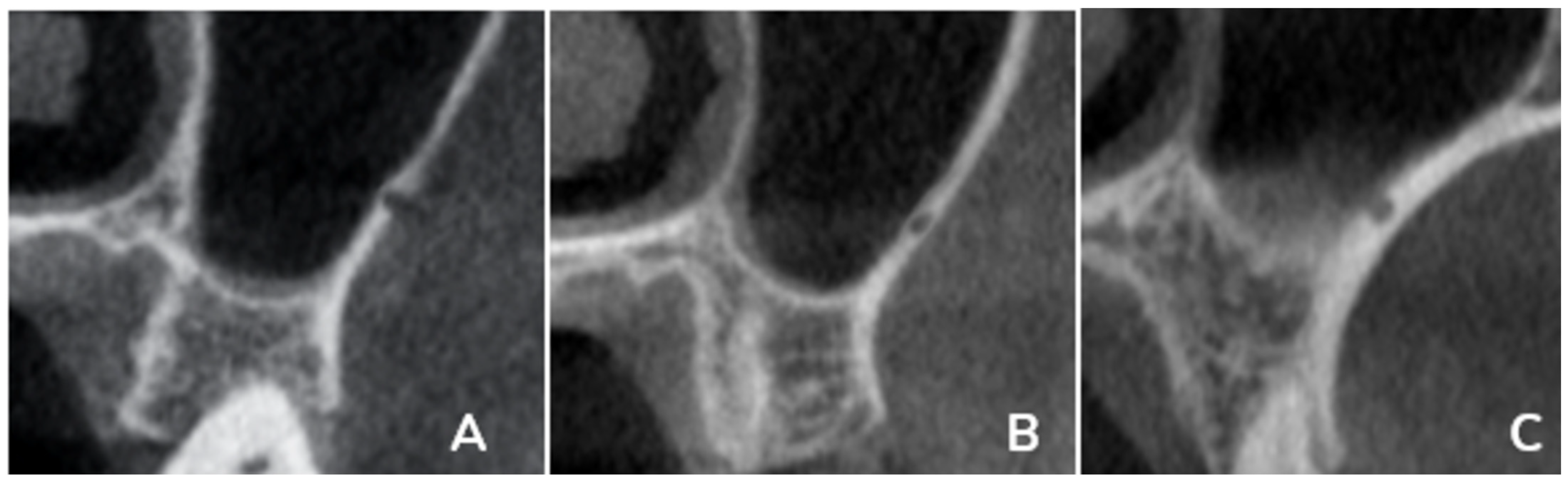 Diagnostics 15 02999 g002