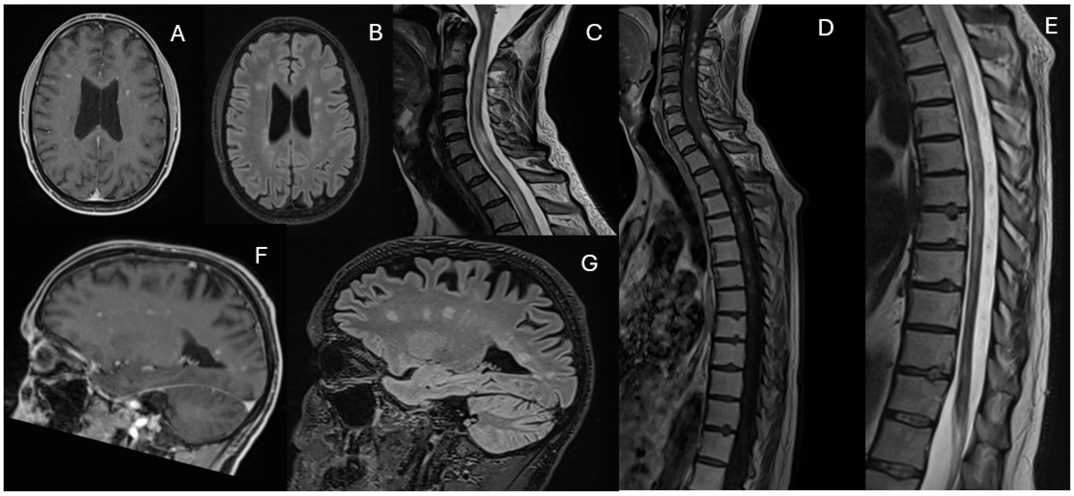 Diagnostics 15 03000 g003