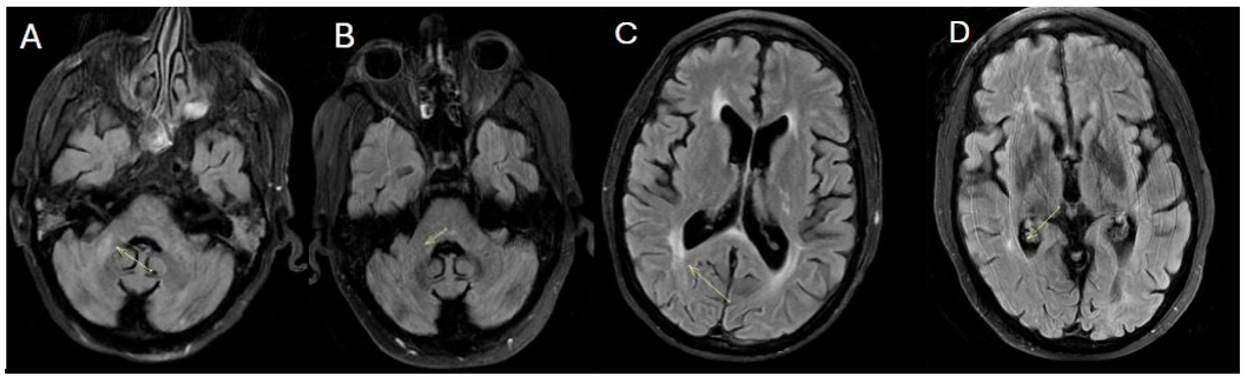 Diagnostics 15 03000 g004