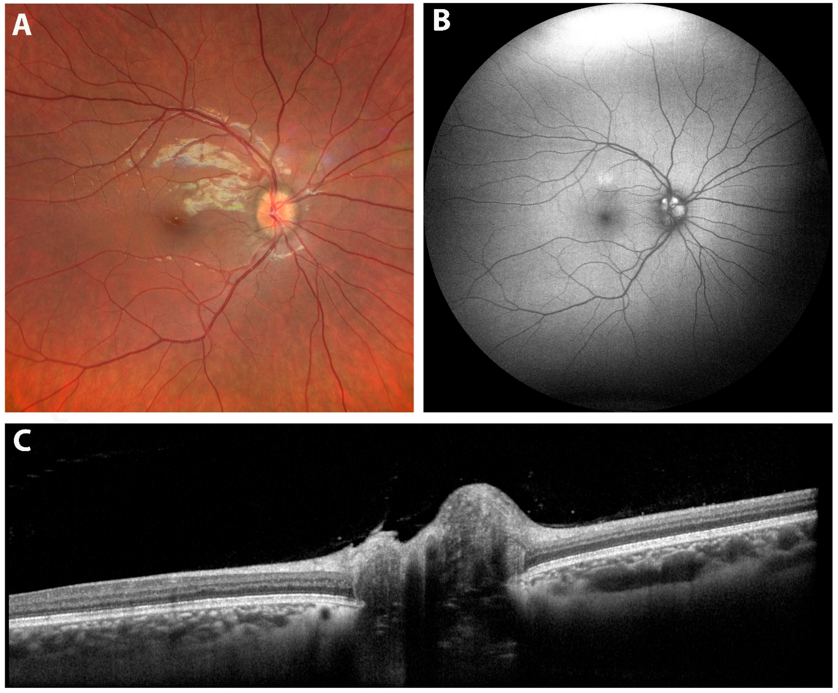 Diagnostics 15 03001 g005