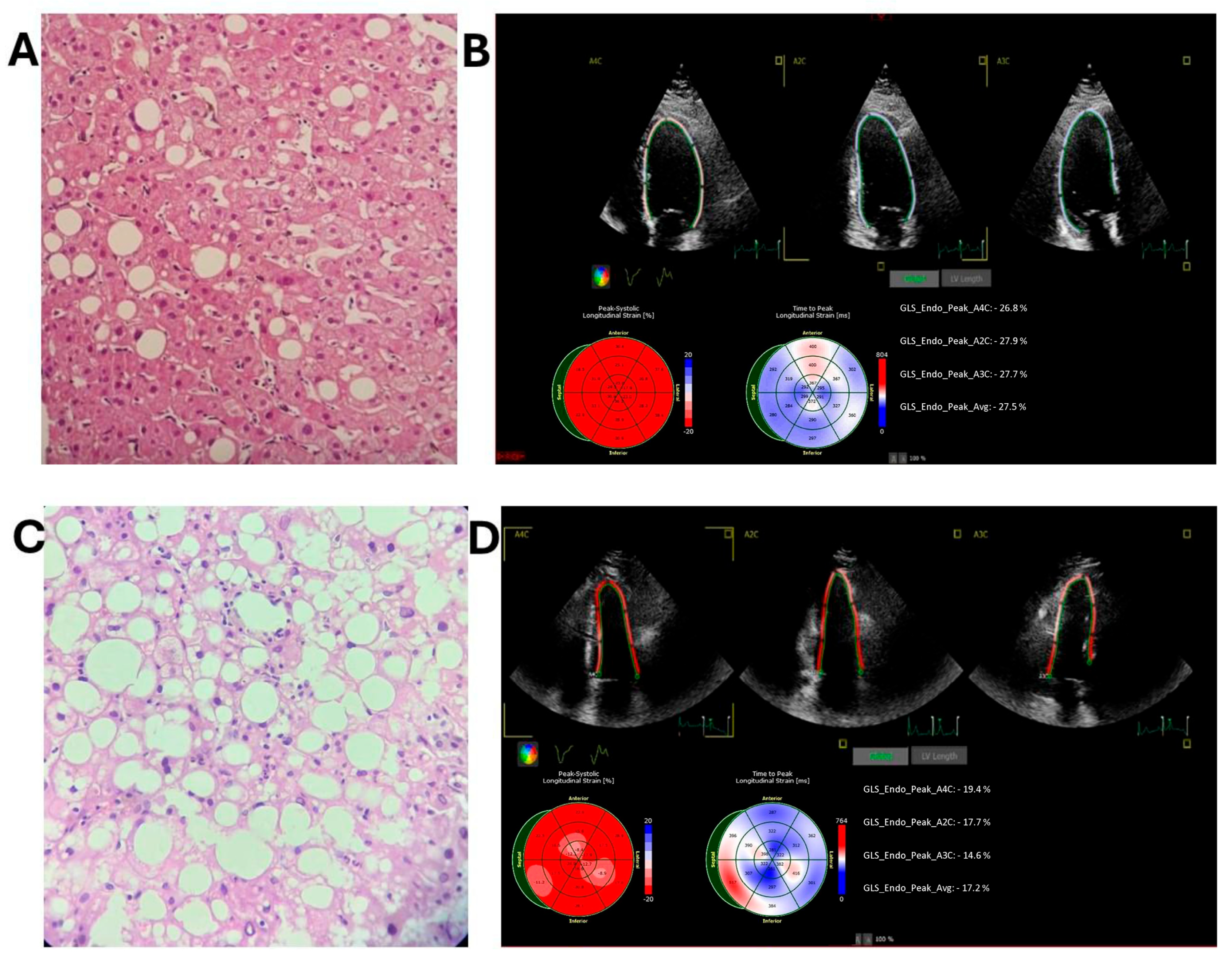 Diagnostics 15 03007 g002