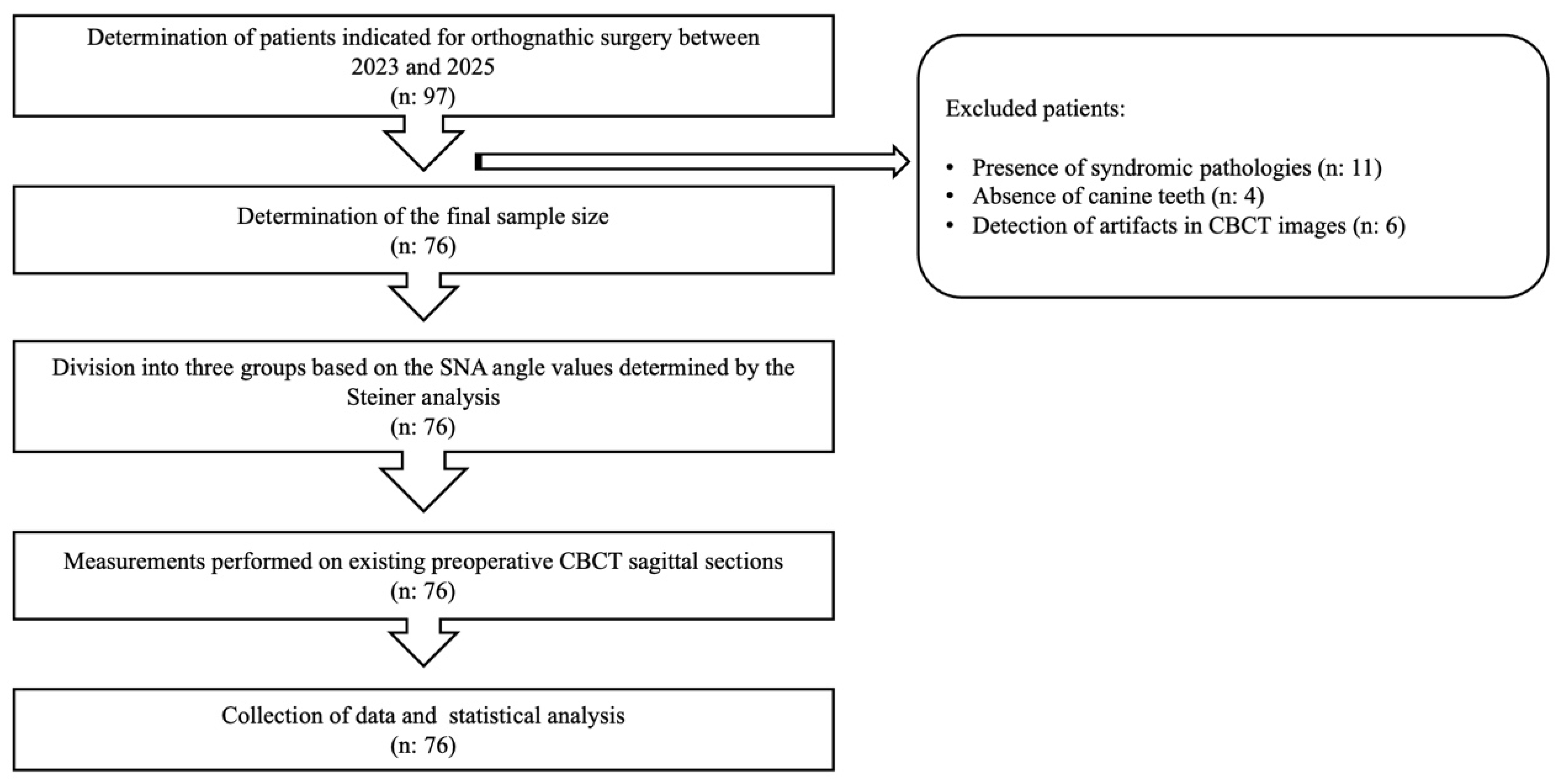 Diagnostics 15 03008 g001