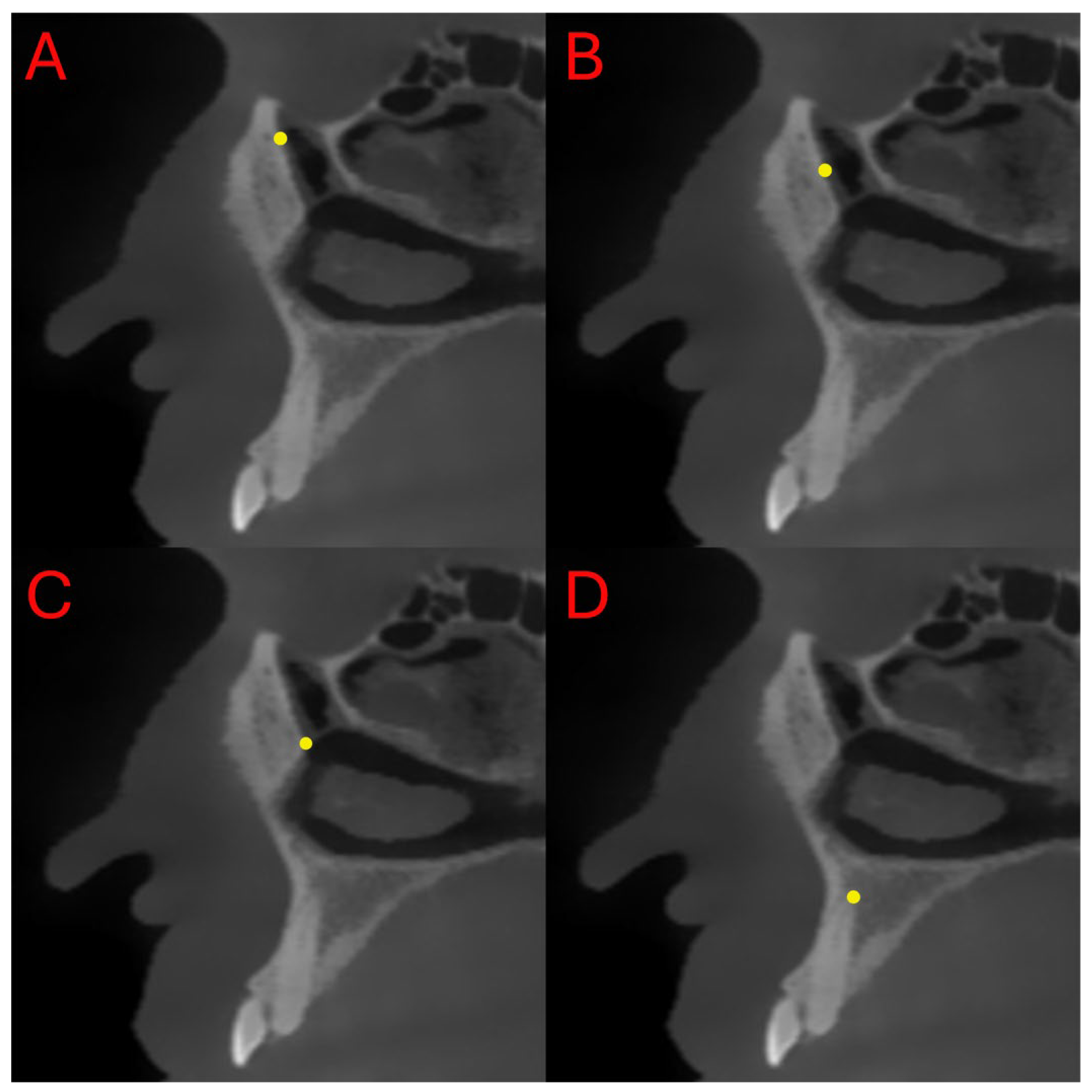 Diagnostics 15 03008 g002