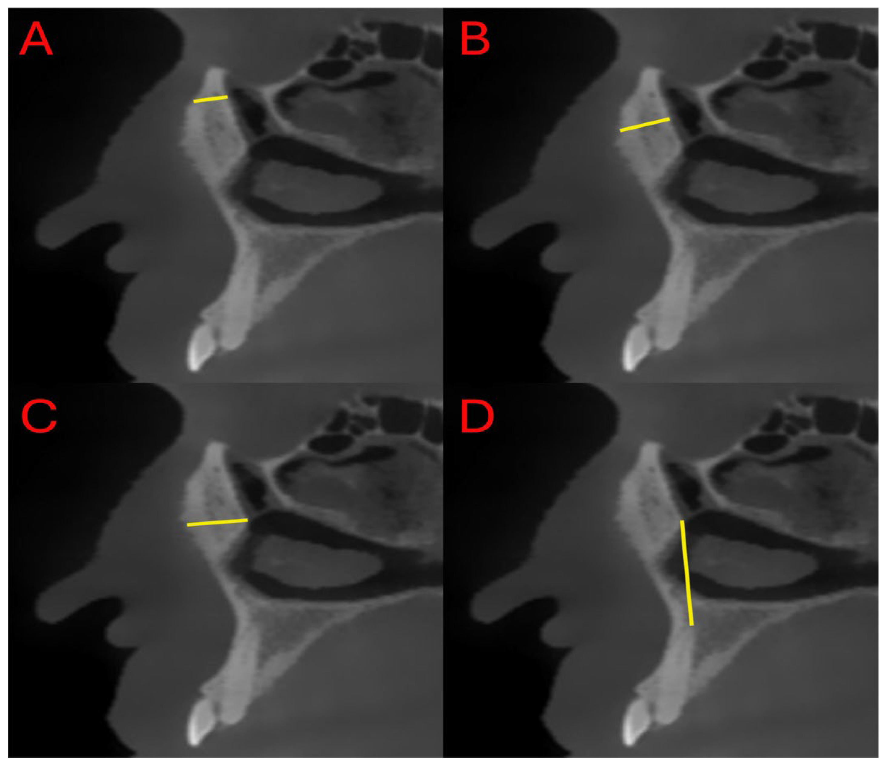 Diagnostics 15 03008 g003