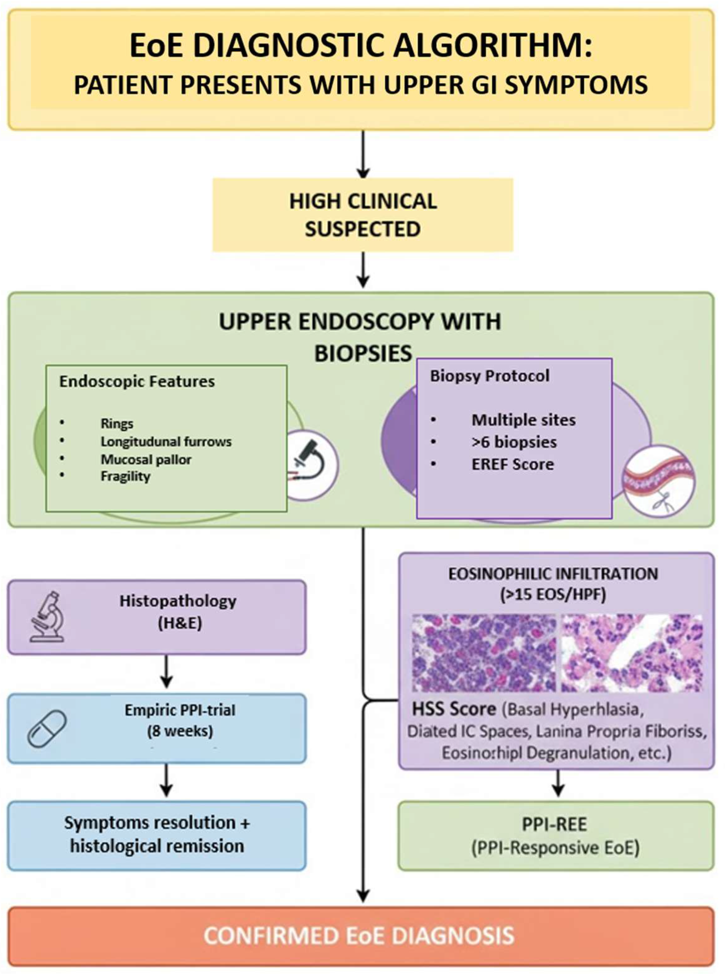 Diagnostics 15 03011 g002