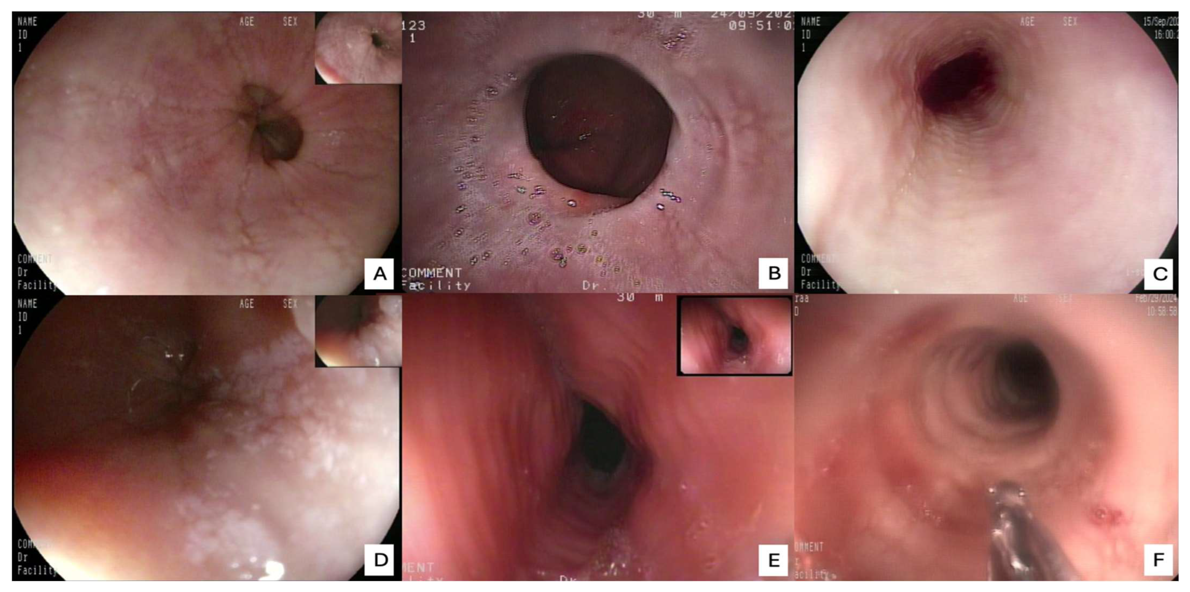 Diagnostics 15 03011 g004