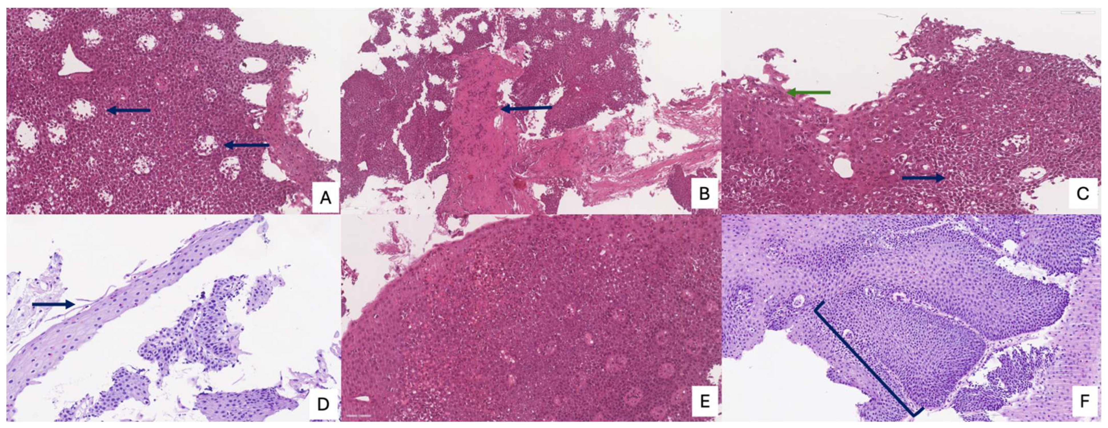Diagnostics 15 03011 g005