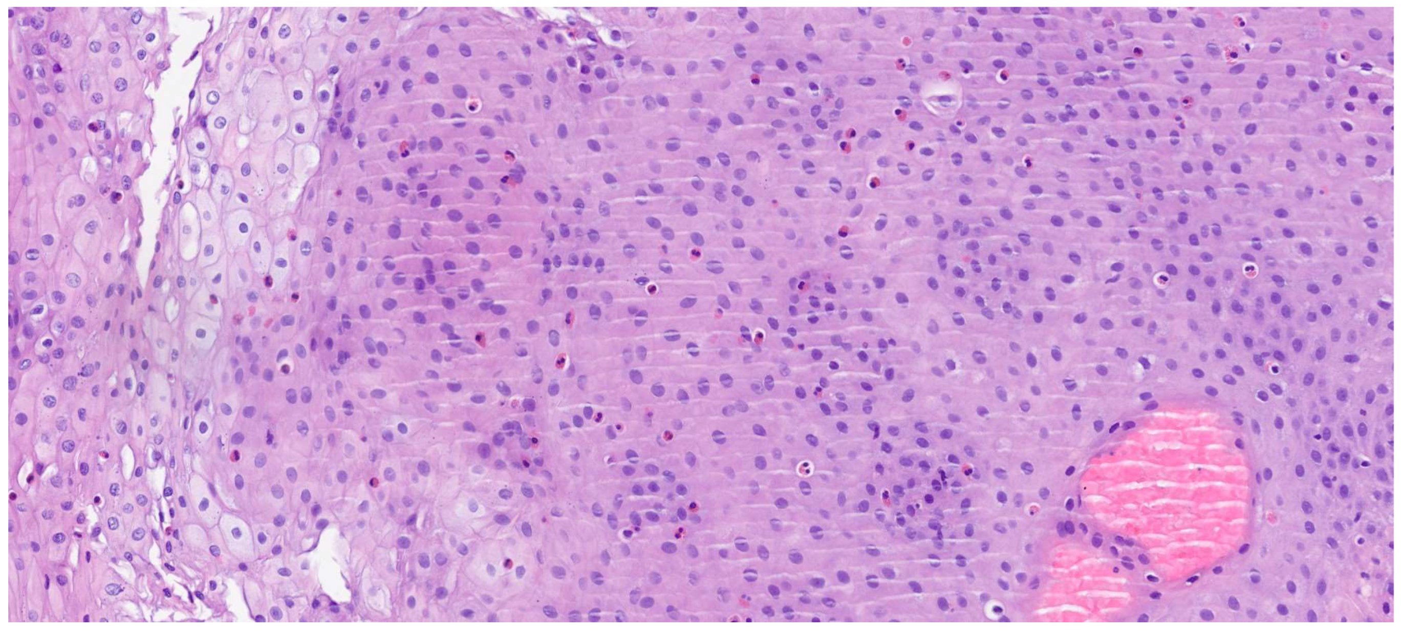 Diagnostics 15 03011 g006