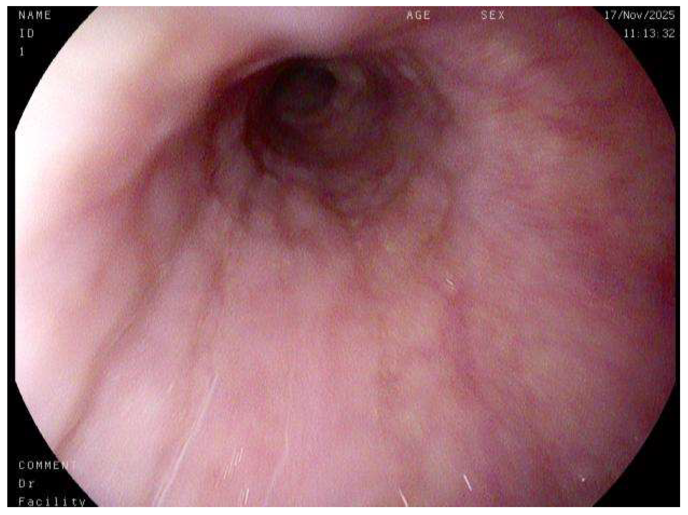 Diagnostics 15 03011 g007