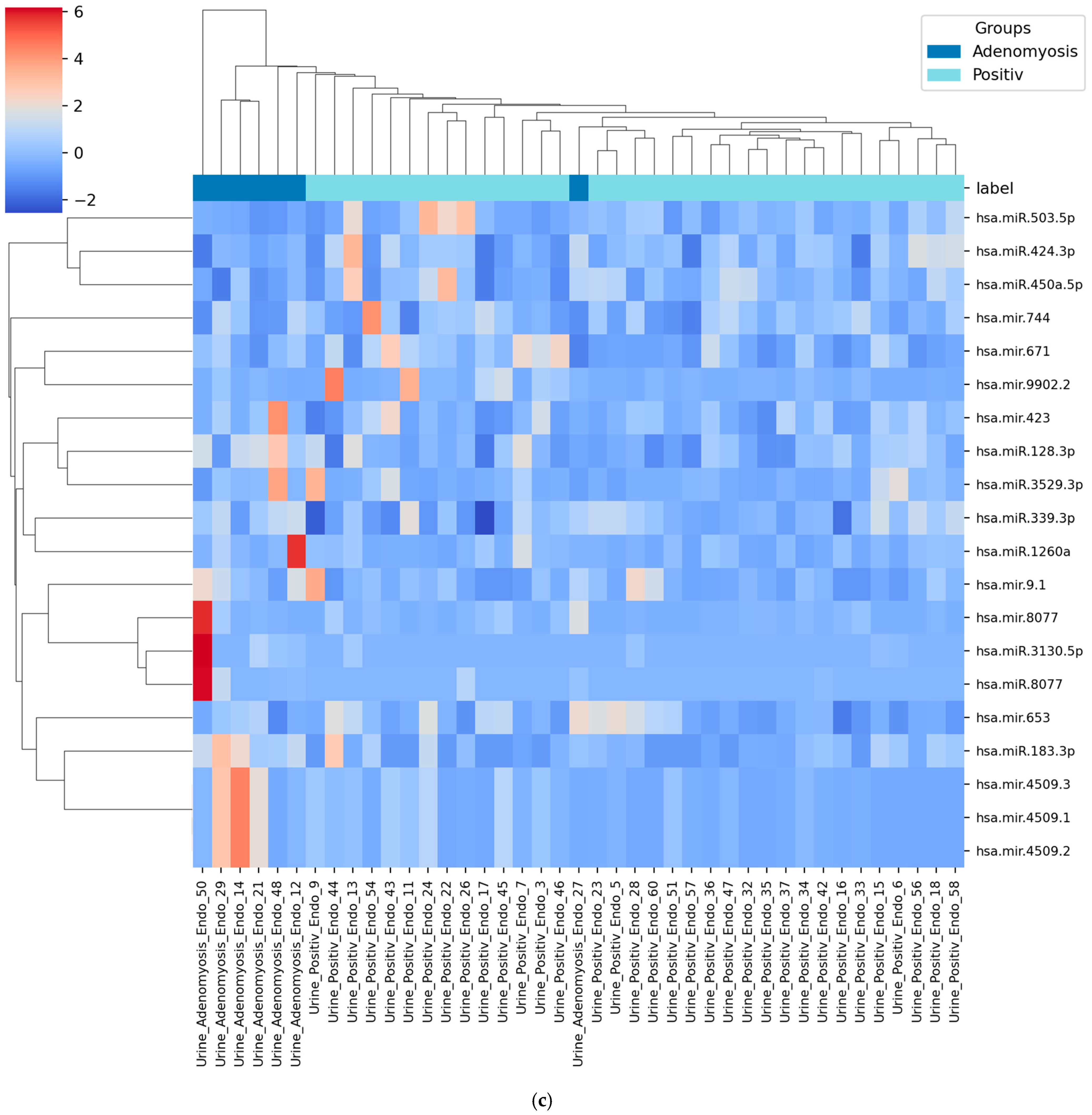 Diagnostics 15 03012 g005c