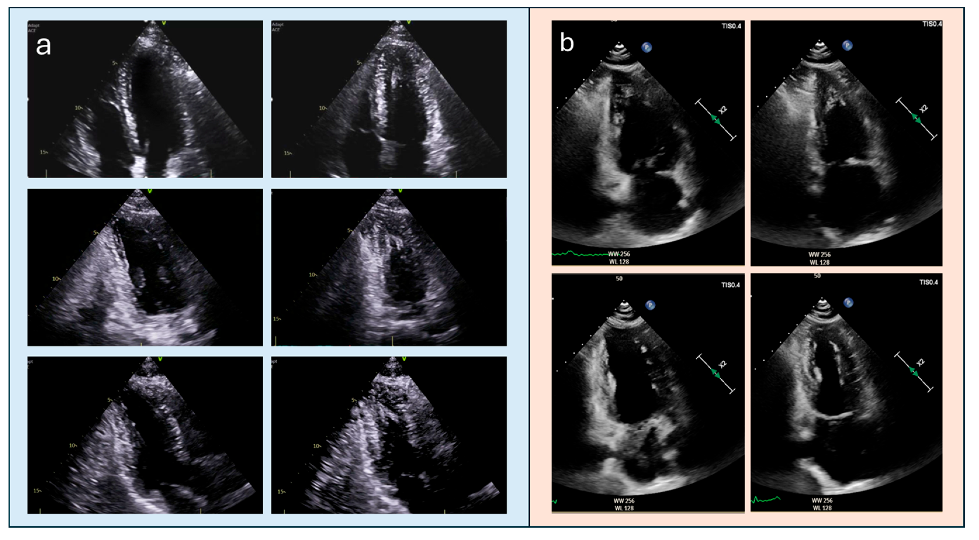 Diagnostics 15 03013 g001