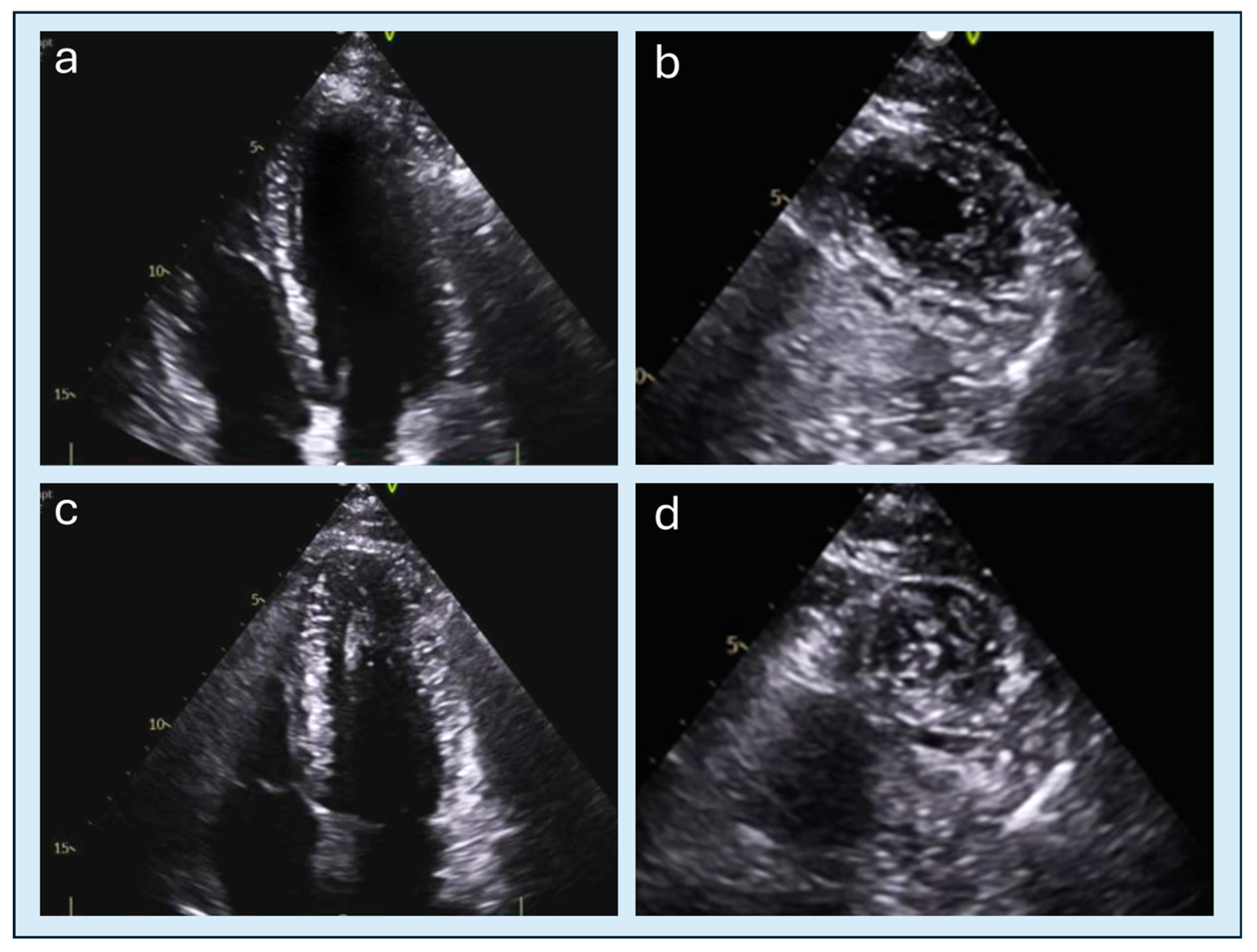 Diagnostics 15 03013 g004