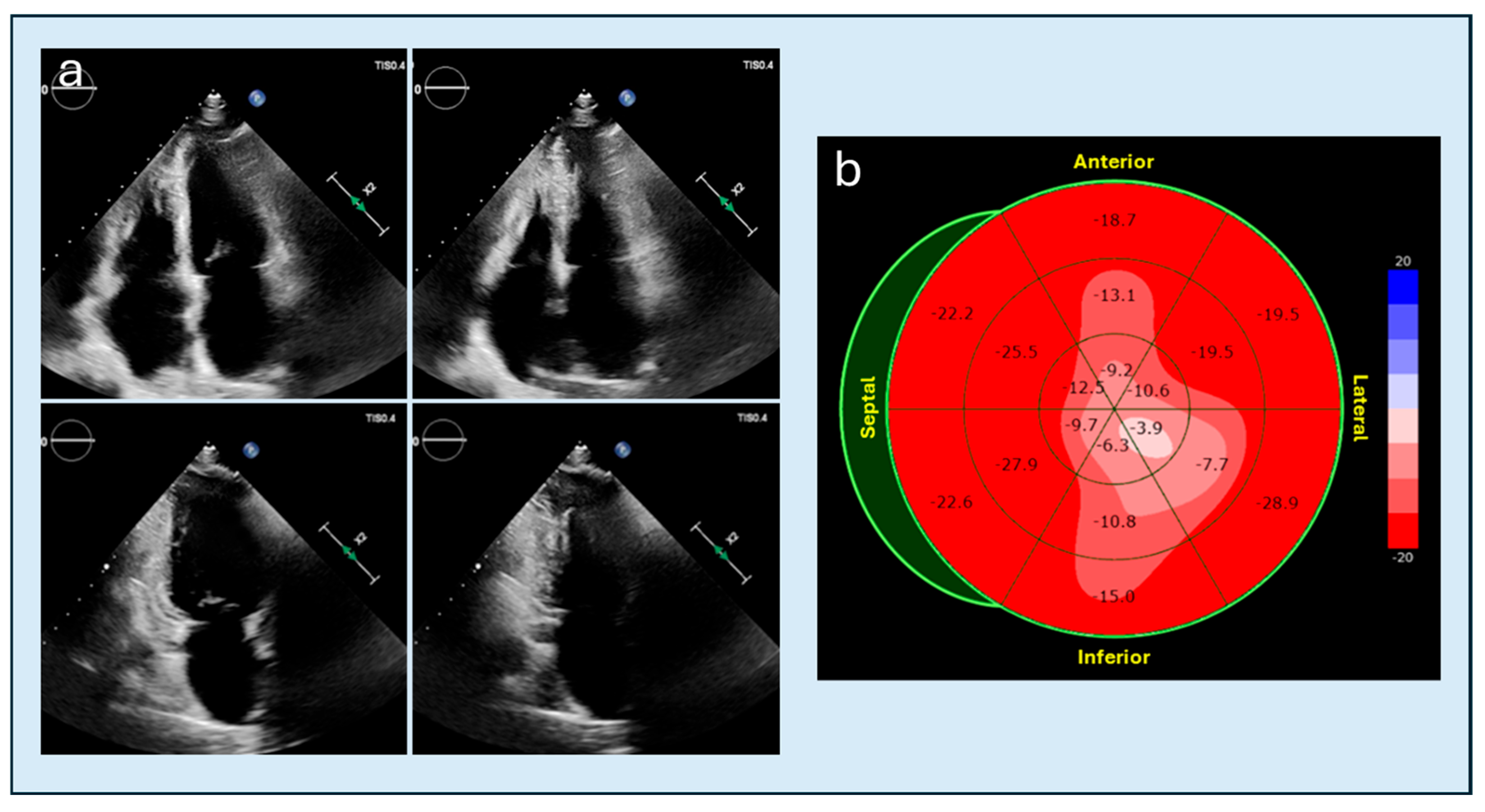 Diagnostics 15 03013 g005