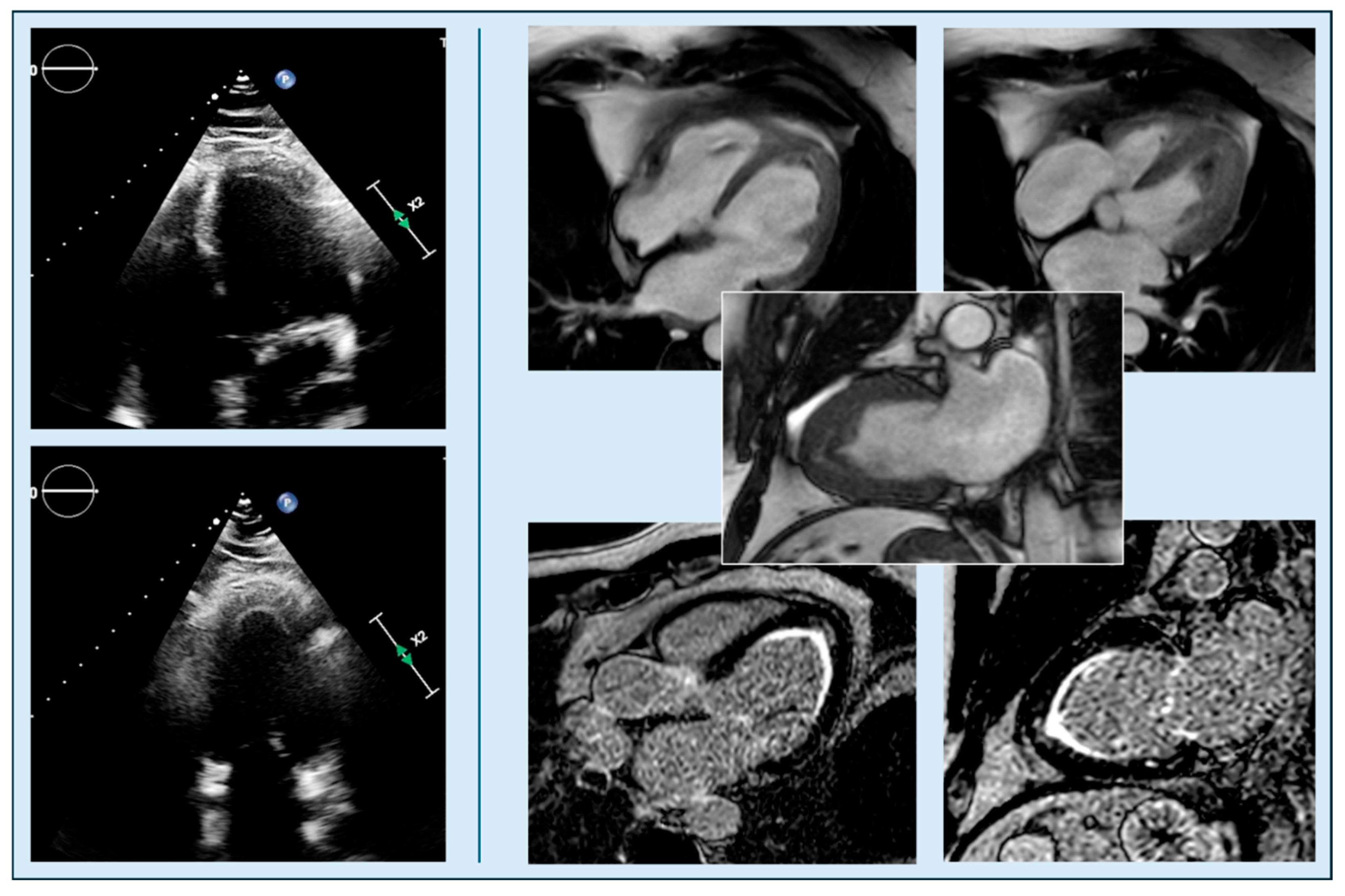 Diagnostics 15 03013 g006